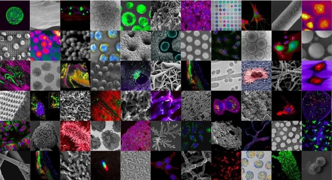 The Marble Center: A Decade Shaping the Future of Cancer Nanomedicine at MIT