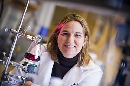 Angela Belcher (MIT)