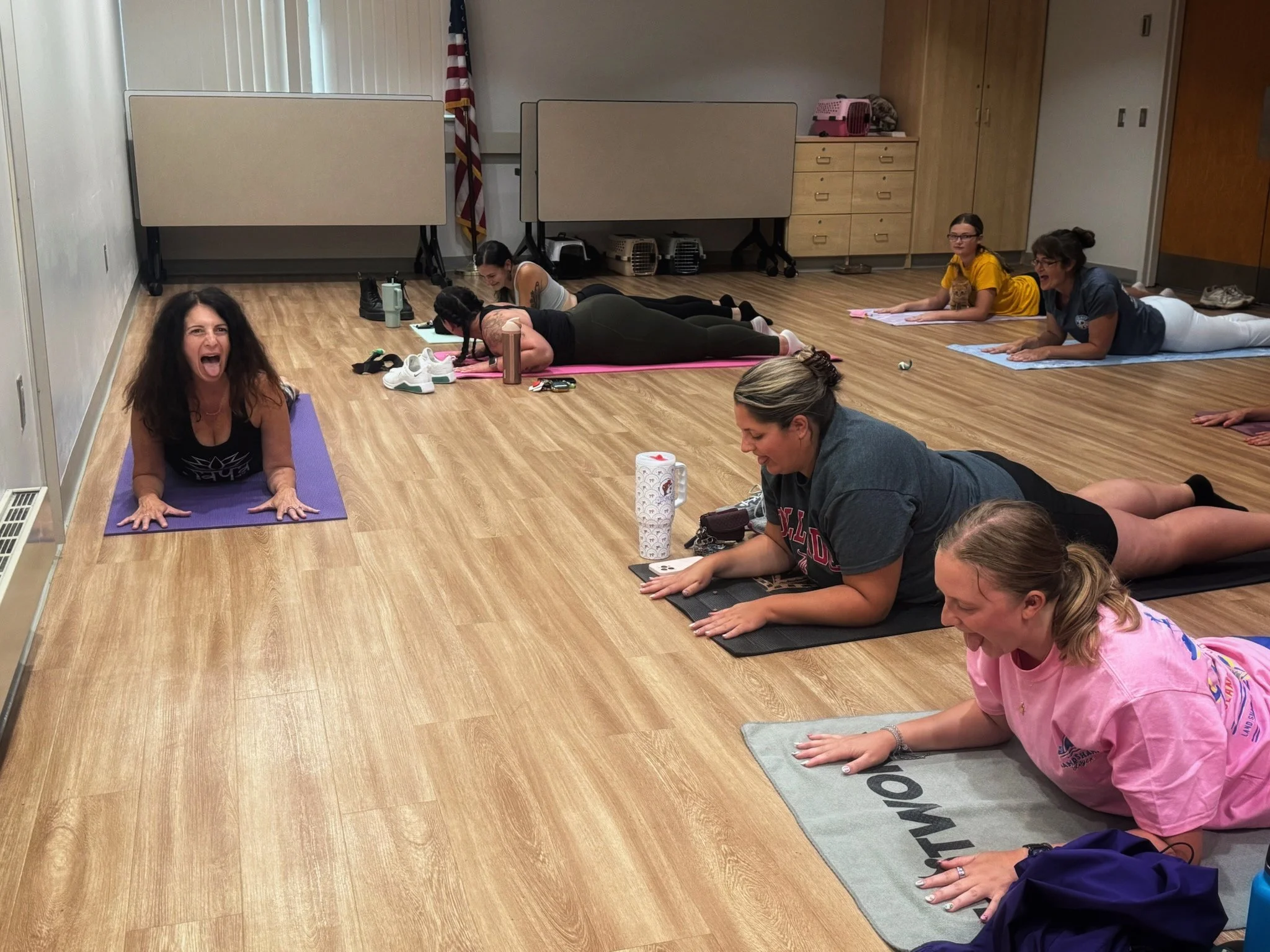 Yoga instructor, Hilary Steinberg, from Jaya Yoga Studio leads a Sphinx Pose with Lion's Breath during Cat Yoga with rescue cats from KitKat Mission at the Abington Community Library in Clarks Summit, Pennsylvania.