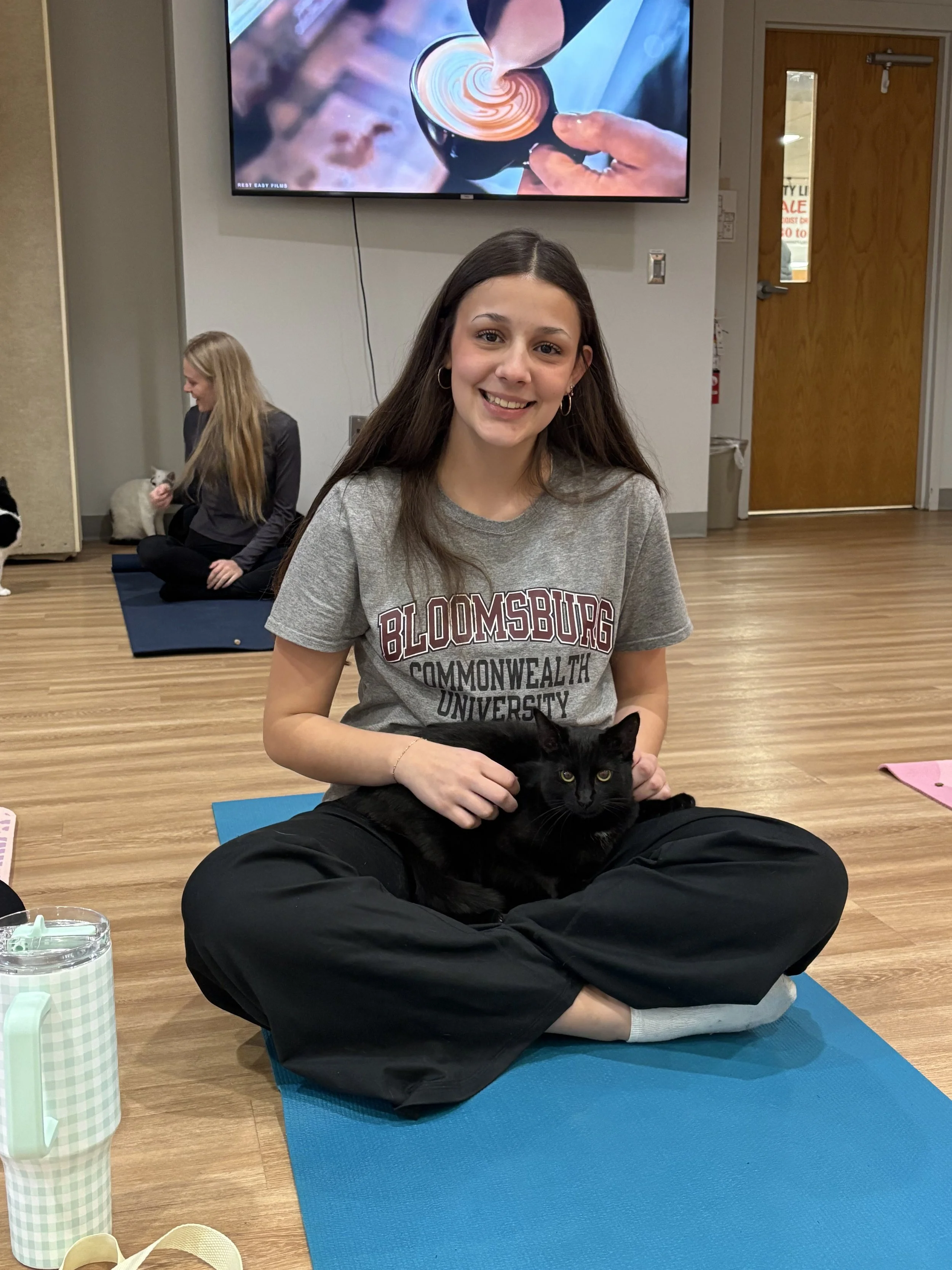 Saturn the cat sits on a participant’s lap during Cat Yoga at a rescue cat fundraiser event in Clarks Summit, Pennsylvania.