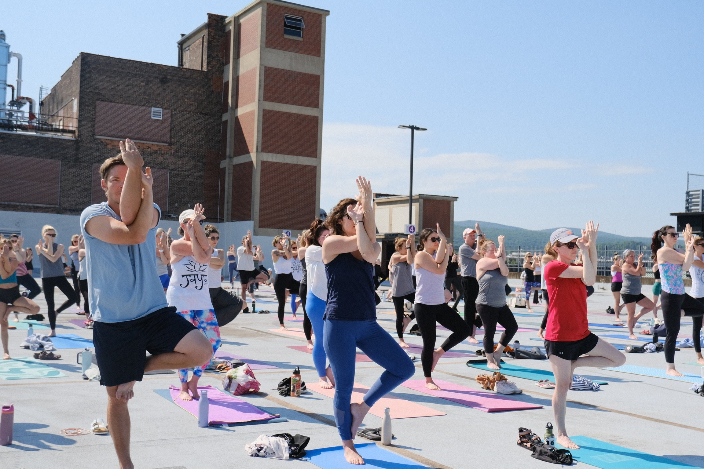 jaya-yoga-clarks-summit-roof-eagle-in-tree.jpg