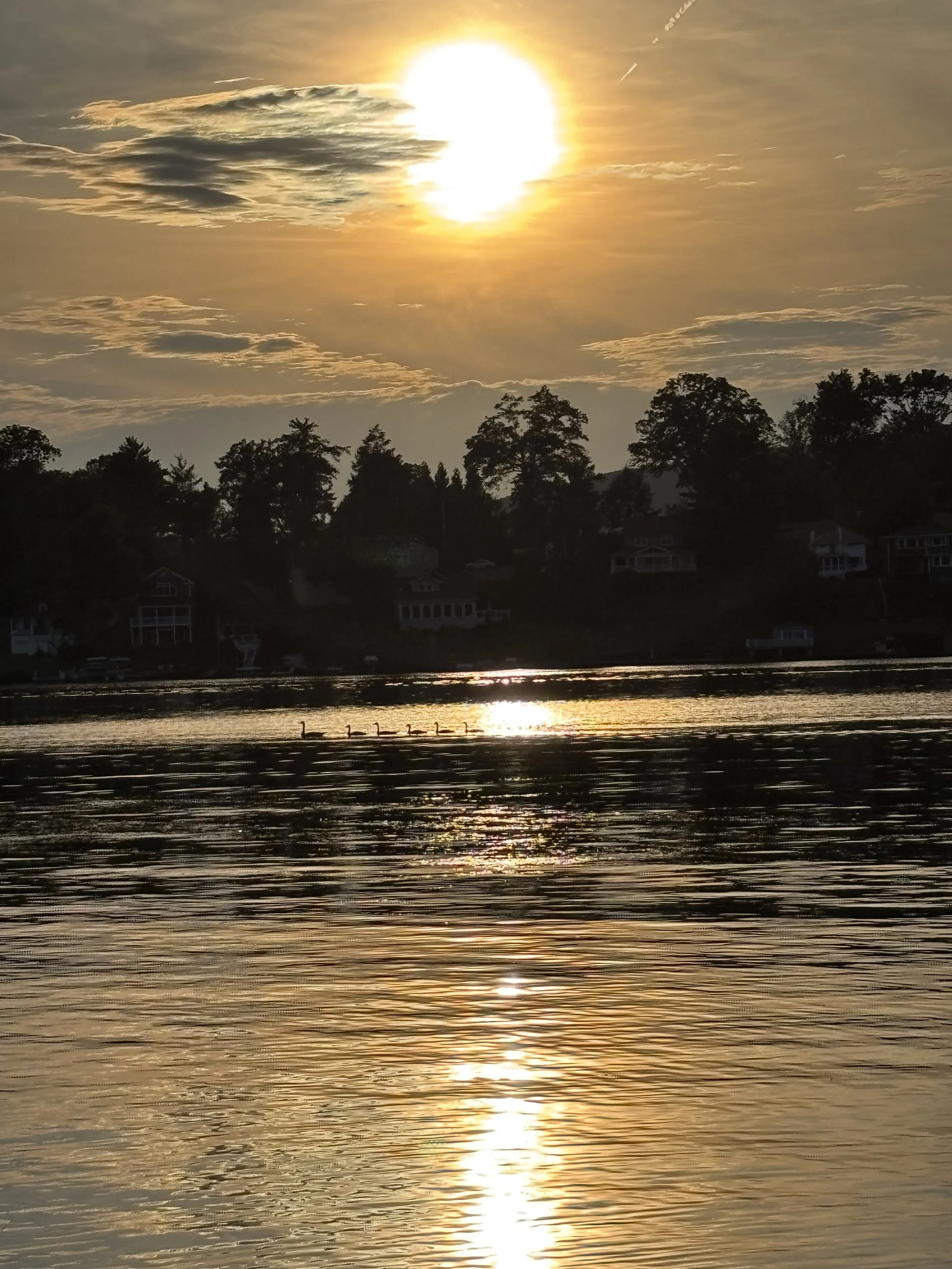 A family of ducks at Lake Winola following  a yoga class on the dock led by Jaya Yoga Studio.