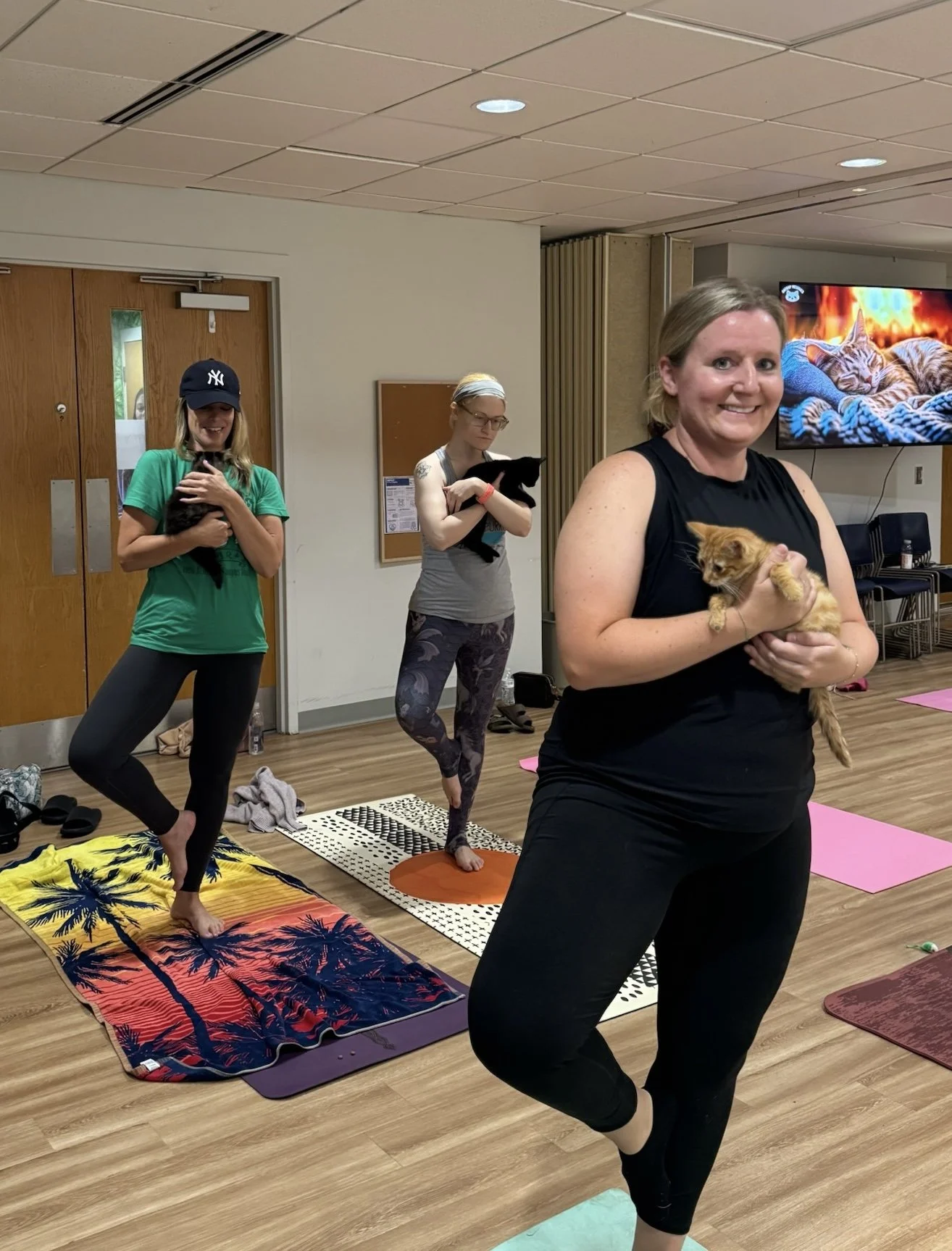 Smiling participants hold adoptable kittens while in tree pose during Cat Yoga hosted by Jaya Yoga Studio.