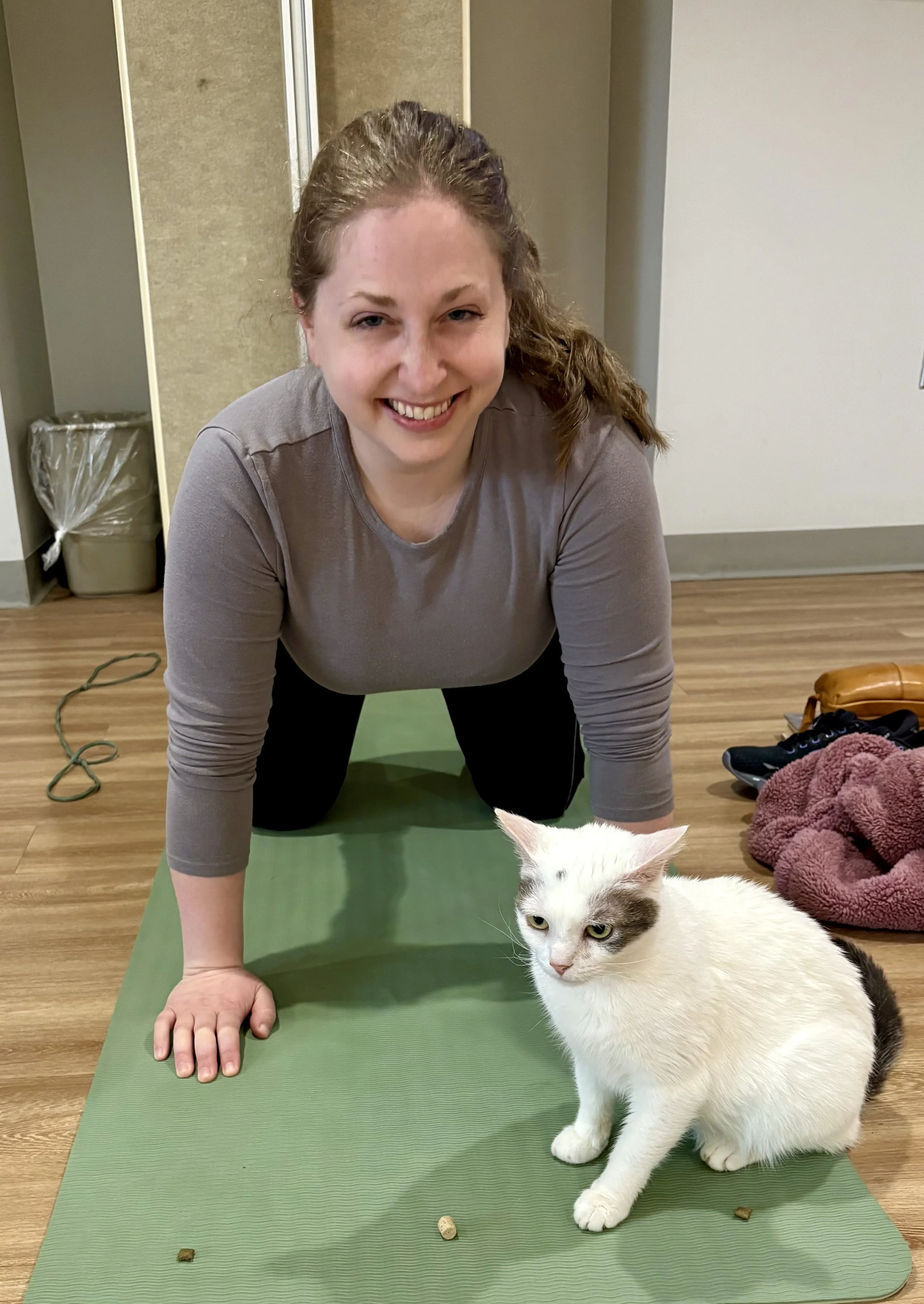 A participant in tabletop pose during Cat Yoga while Dippin’ Dots the rescue cat explores the mat at this cat yoga fundraiser in Clarks Summit, Pennsylvania.