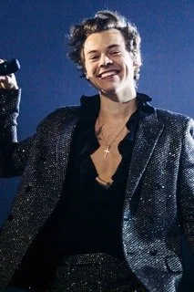 Harry styles Small.jpeg