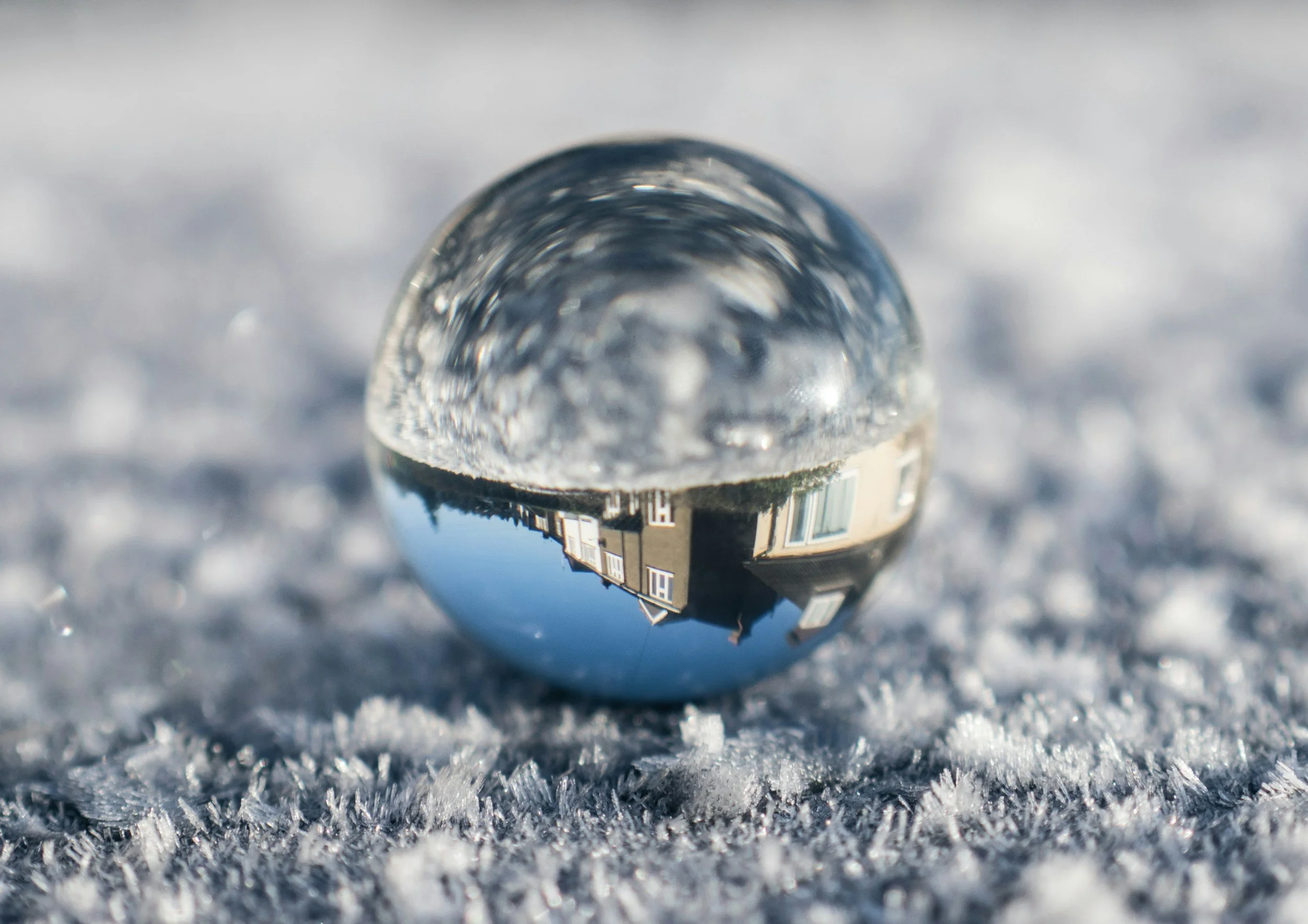 Book Review: Snow Globe by Soyoung Park
