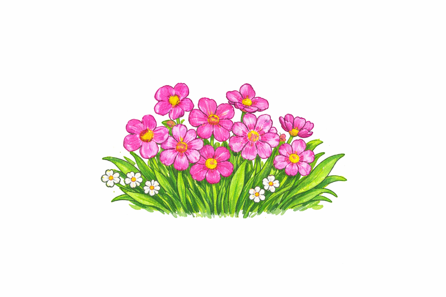 PinkFlowers.png