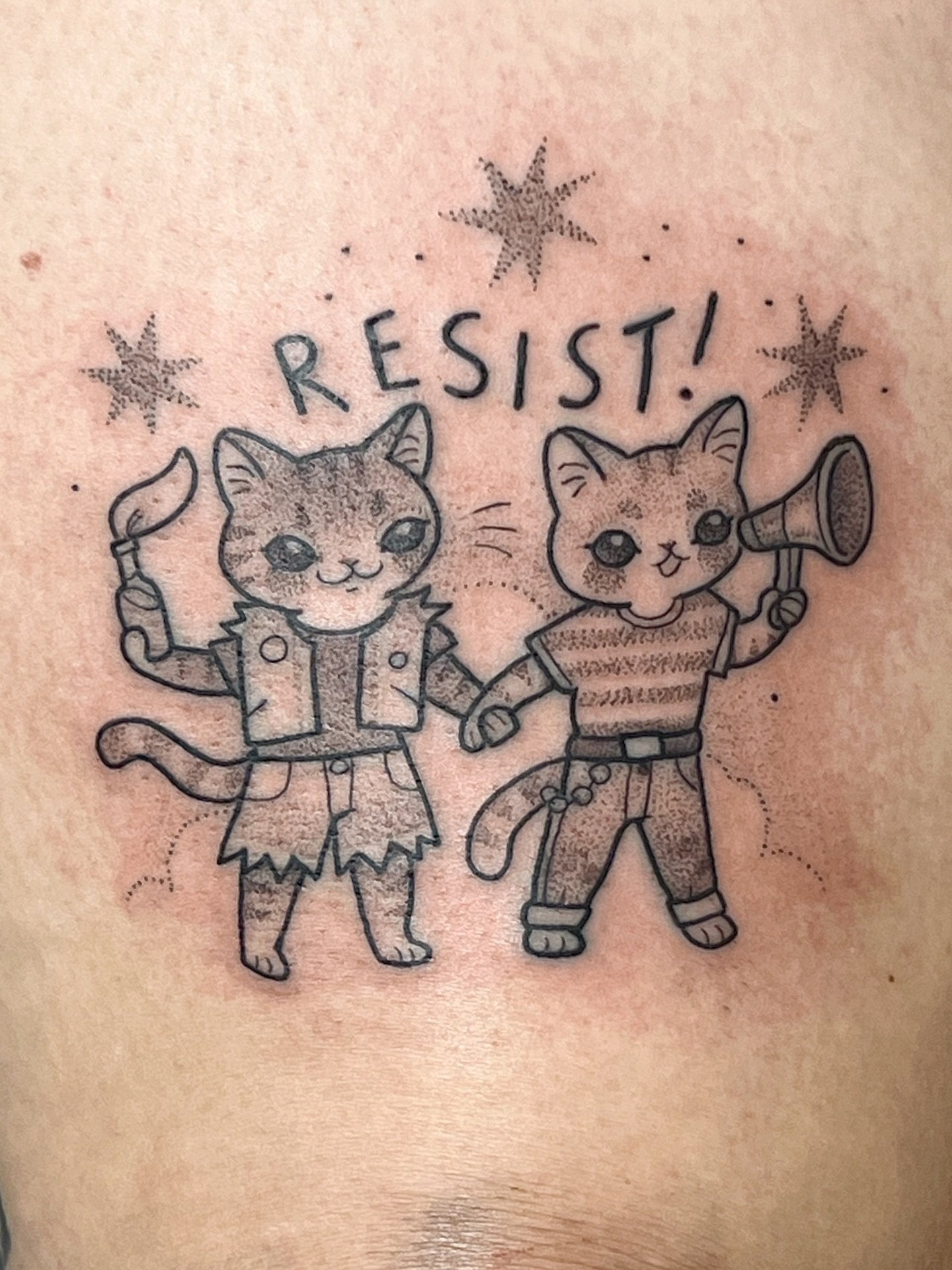 Chantelle requested her kitties as protesters and I was happy to oblige 💖

There&rsquo;s no space for racists/bigots/transphobia/homophobia here 

Let&rsquo;s continue showing up for our marginalized communities and calling out hate when necessary 
