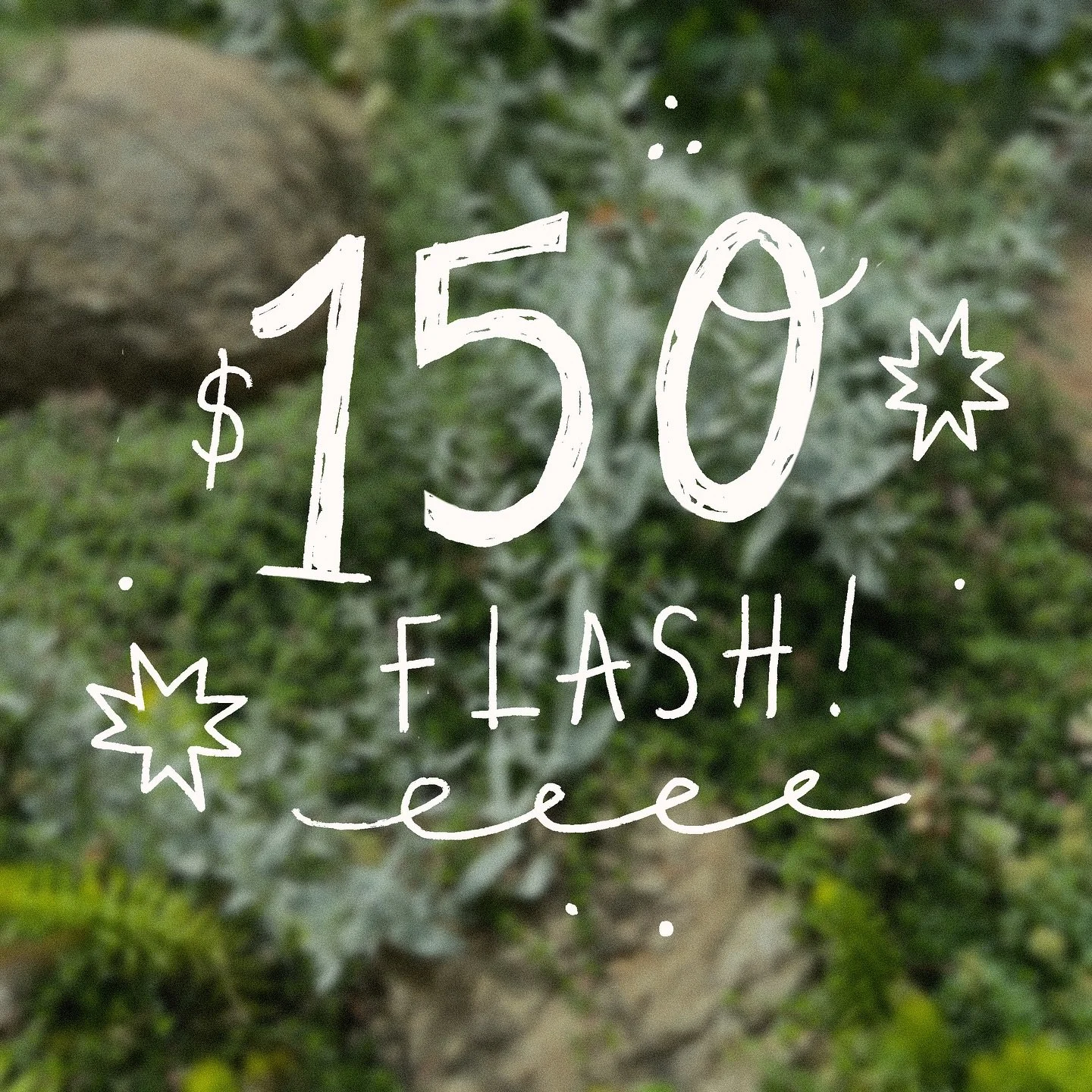 From now until the end of the year the following flash pieces will be repeatable and $150 (plus tax) each! I&rsquo;d like to retire these for the new year so I can focus on new flash and I also wanna offer folks a more affordable price while times ar