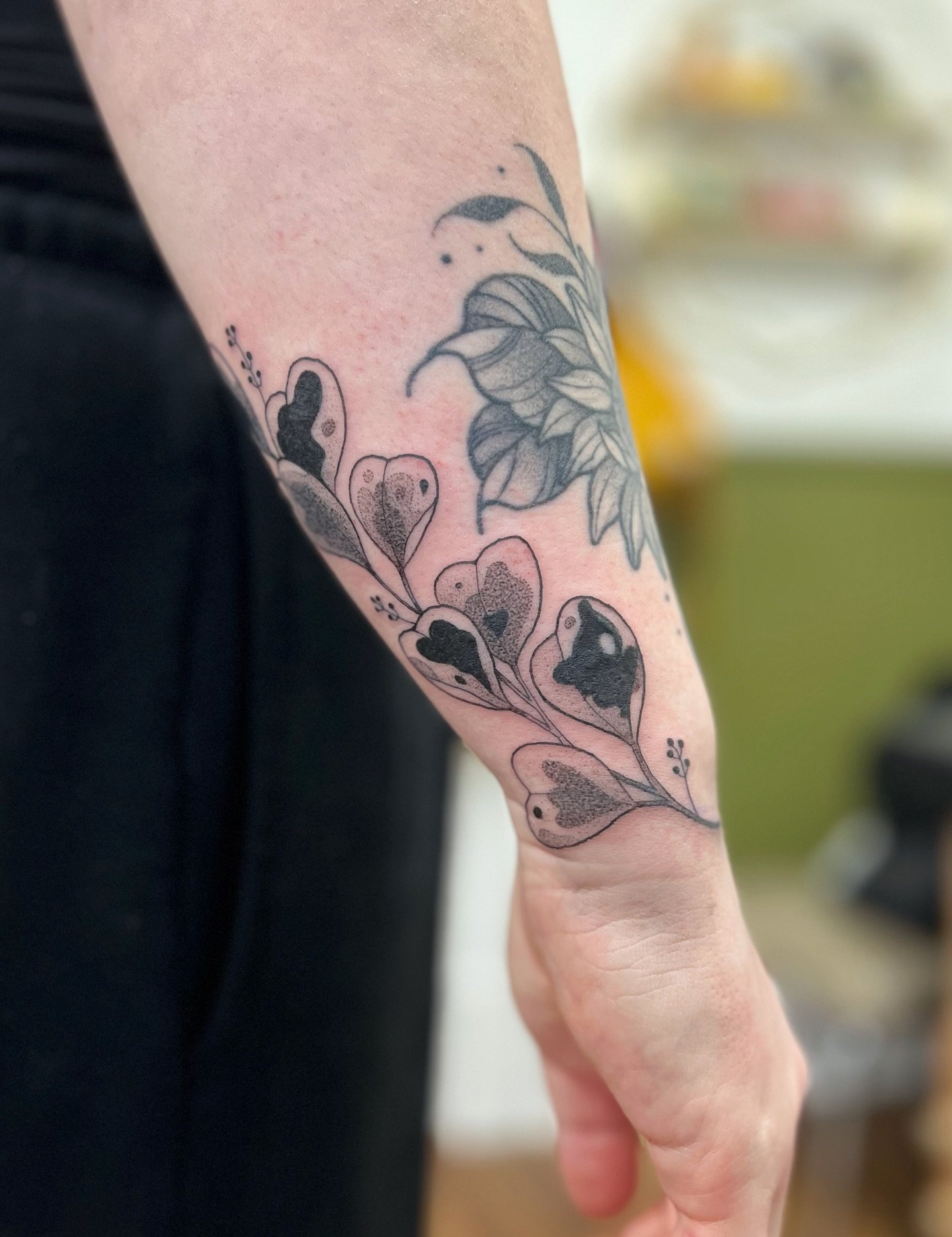 Coverup on a wee little tattoo for Kayla! I opted to do a variegated plant because it makes a coverup look way less obvious (swipe to the end for the original tattoo)

And a cosmos I did to match her sunflower awhile back! Thanks so much pal 💖 

I w