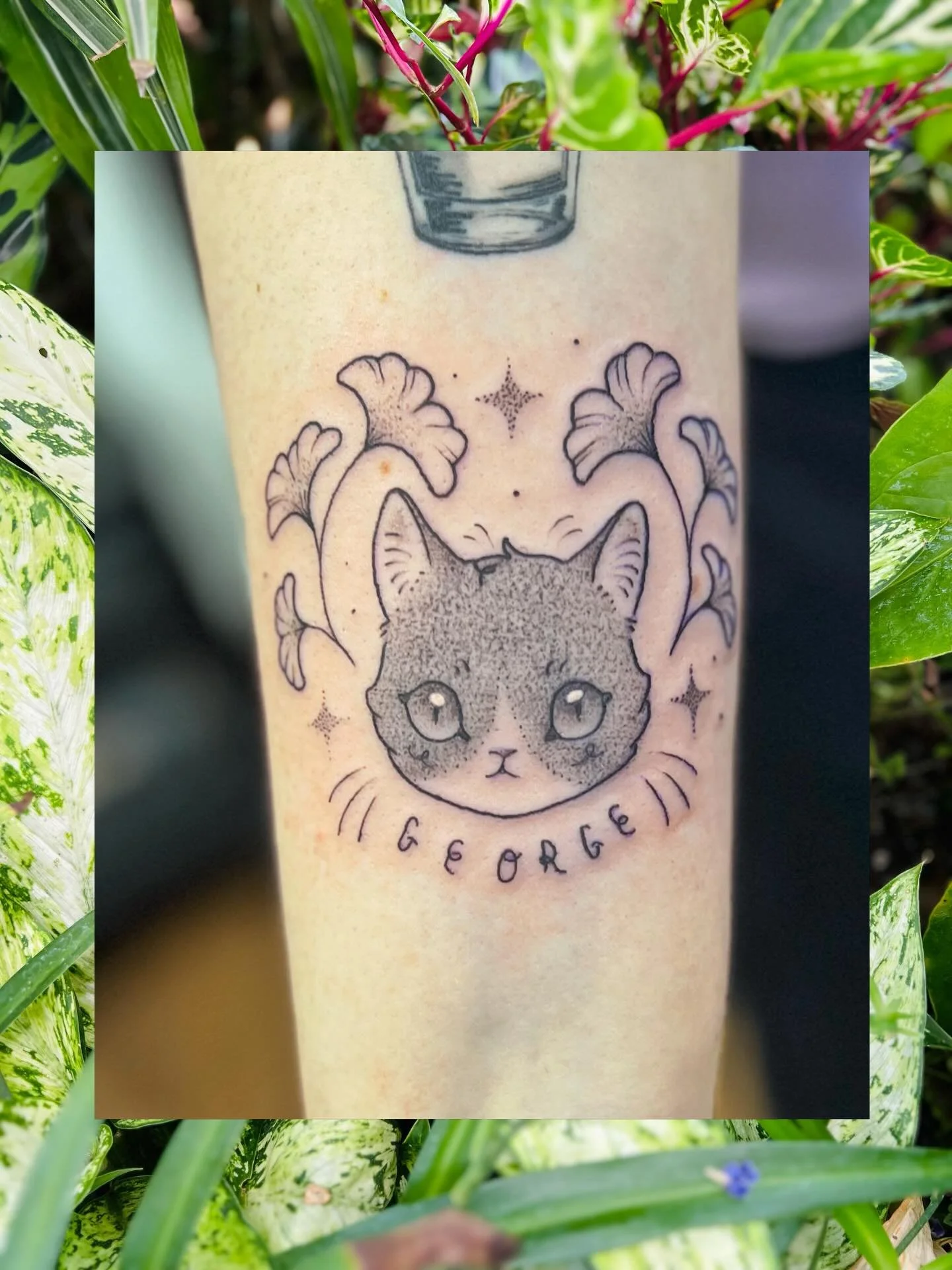 George 💖 thank you Tyfany

Love to tattoo your little babies! 

I&rsquo;ve got time in April and May! Email or click the 🔗 on my b!o to book :^) 

✧ ✧ ✧ 

✶ B👀KS OPEN ✶
b00king form in b!o
💌 plantmole@gmail.com

✧ ✧ ✧