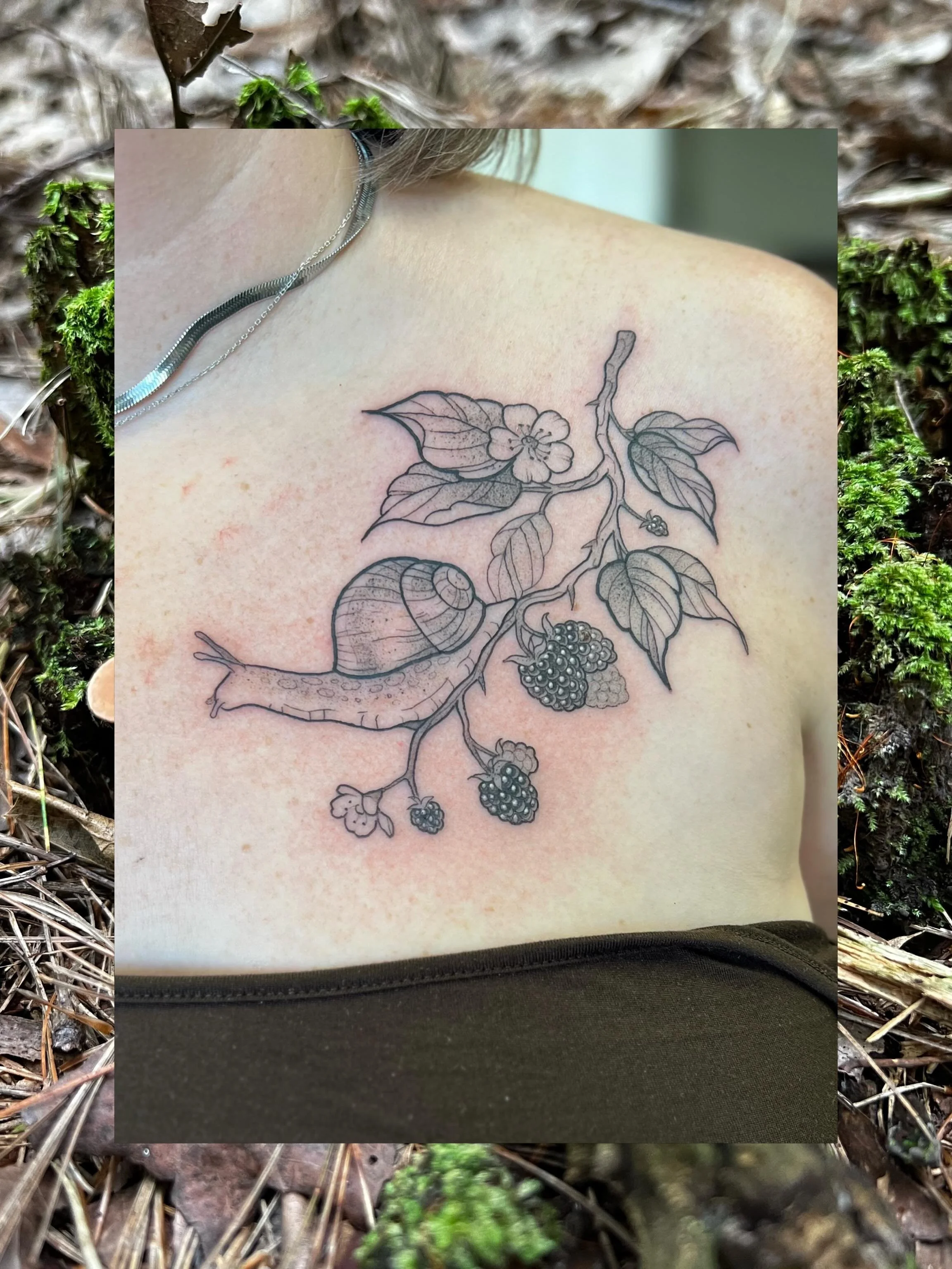 Snail on a blackberry branch for Lindsay! Thanks so much 💖 

The placement was so fun and I looove tattooing blackberries

The highlights always make them look so juicy :^)

Booking May onwards

✧ ✧ ✧ 

✸ BOOKS OPEN ✸
booking 🔗 in my b!o
💌 plantmo
