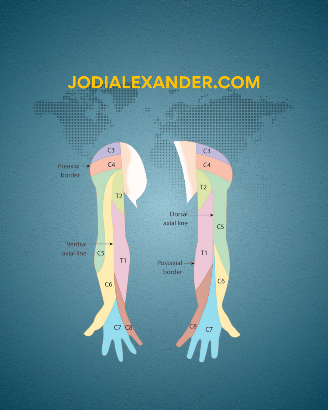 Is It Really Carpal Tunnel … or a “Power Cord Problem” Starting in Your Neck?