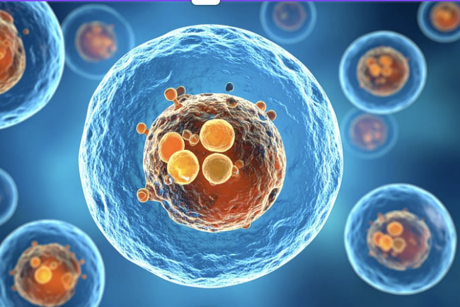 The Boy Who Lived Longer Than Anyone Expected: How Stem Cells Helped His Body Stay Stronger