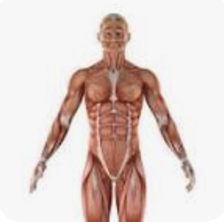 🌱 The Body’s Innate Ability to Heal—&amp; Why Modern Medicine Often Ignores It