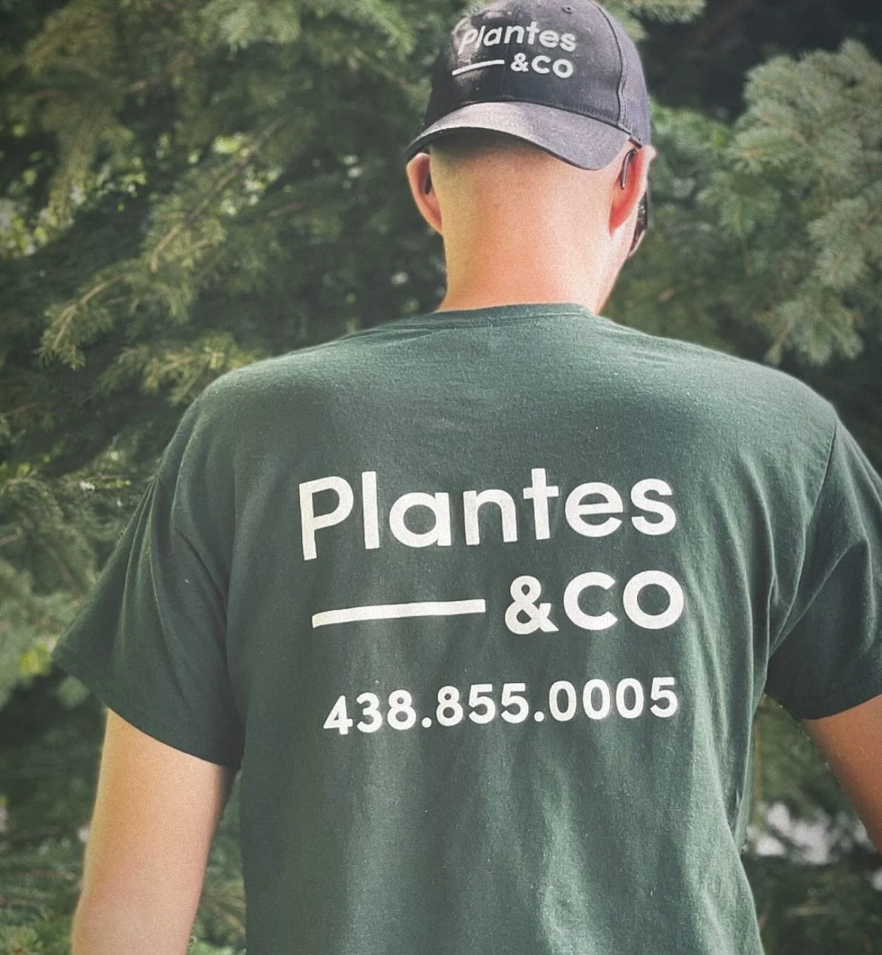 La saison estivale approche &agrave; grands pas et vous ne savez plus o&ugrave; donner de la t&ecirc;te ? Contactez-nous d&egrave;s maintenant !  #gardening #garden #flowers #plants #nature #gardenlife #gardendesign #flower #growyourown #gardeninspir