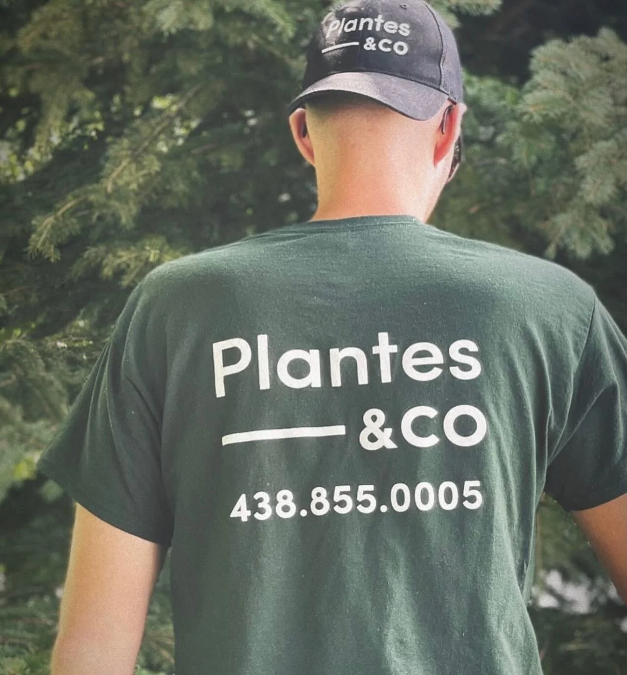 🌿 La saison d&rsquo;am&eacute;nagement paysager arrive &agrave; grands pas! 🌿

Chez Plantes et Co., on se pr&eacute;pare &agrave; transformer vos espaces ext&eacute;rieurs pour la belle saison ☀️

Que ce soit pour :
&bull; Am&eacute;nagement de pla