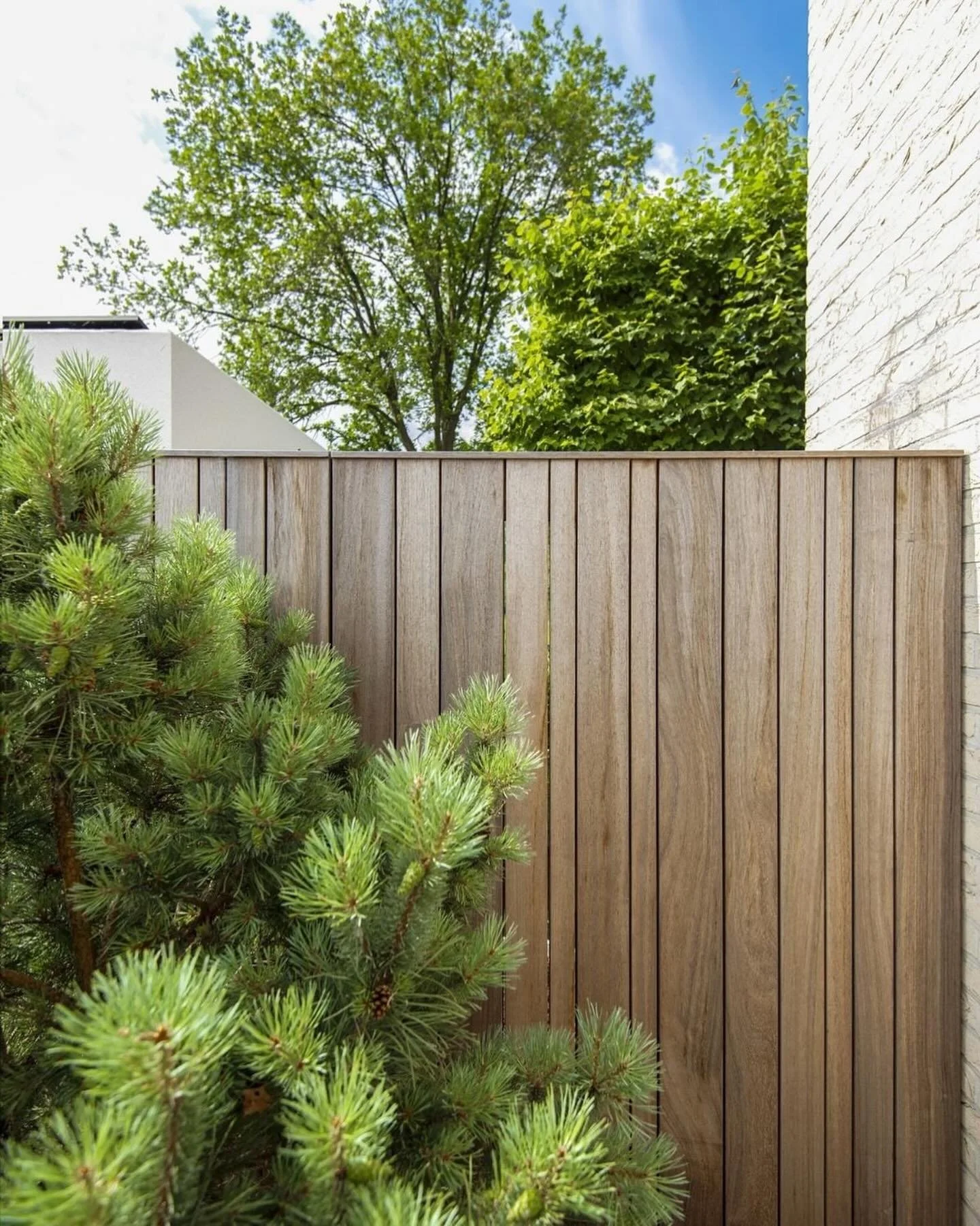 Cr&eacute;er de l&rsquo;intimit&eacute; sans compromettre le style 🌿

Les cl&ocirc;tures de bois sont une excellente fa&ccedil;on de structurer un espace tout en ajoutant chaleur et caract&egrave;re. Que ce soit pour d&eacute;limiter une cour, masqu
