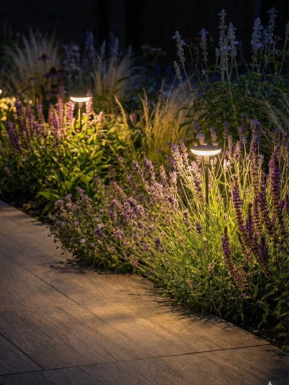 L&rsquo;&eacute;clairage paysager, quand l&rsquo;am&eacute;nagement devient une &oelig;uvre d&rsquo;art ✨

Le soir venu, l&rsquo;&eacute;clairage transforme compl&egrave;tement un am&eacute;nagement. Les textures ressortent, les v&eacute;g&eacute;tau