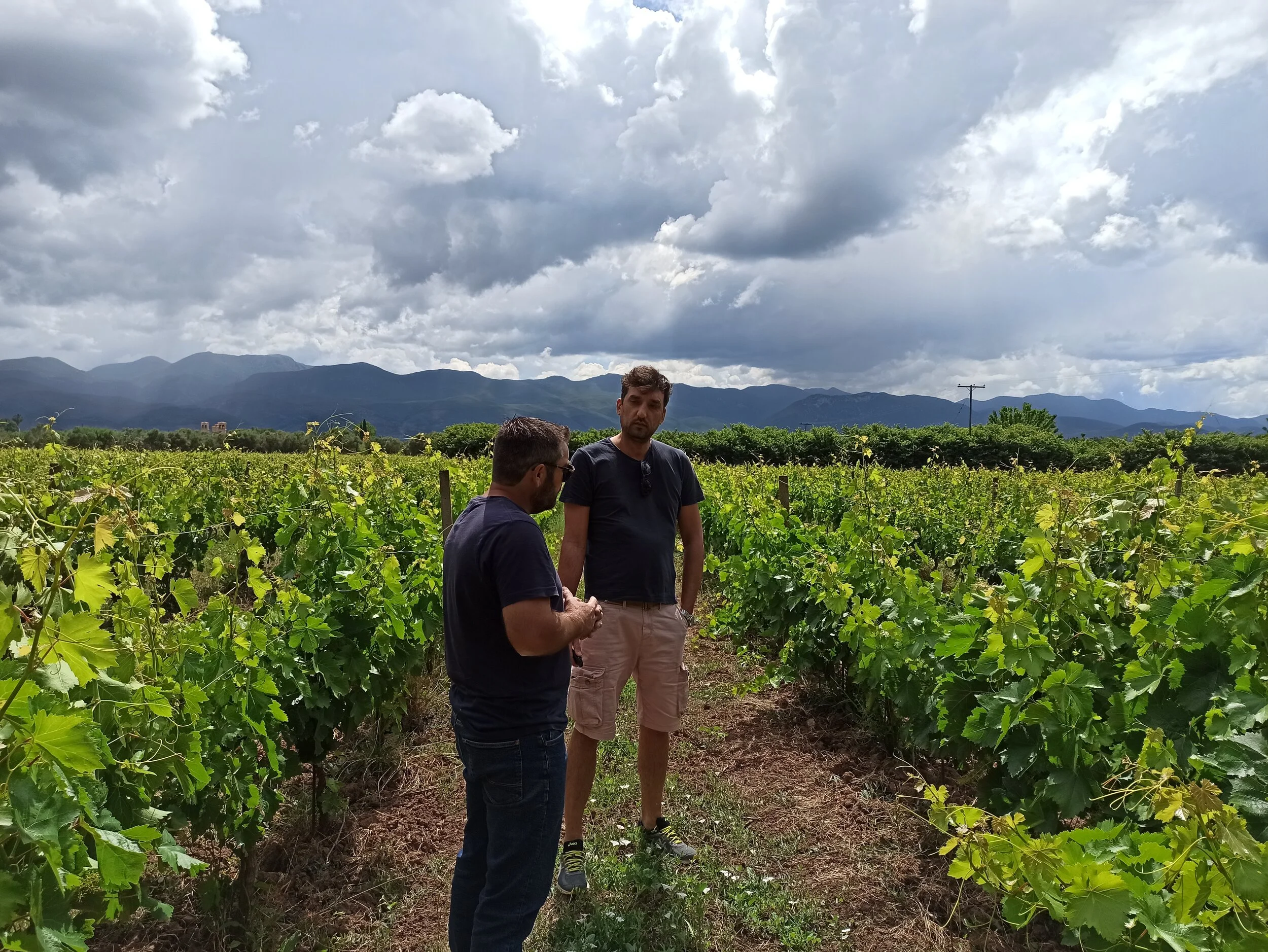 Βασίλης Καπόπουλος