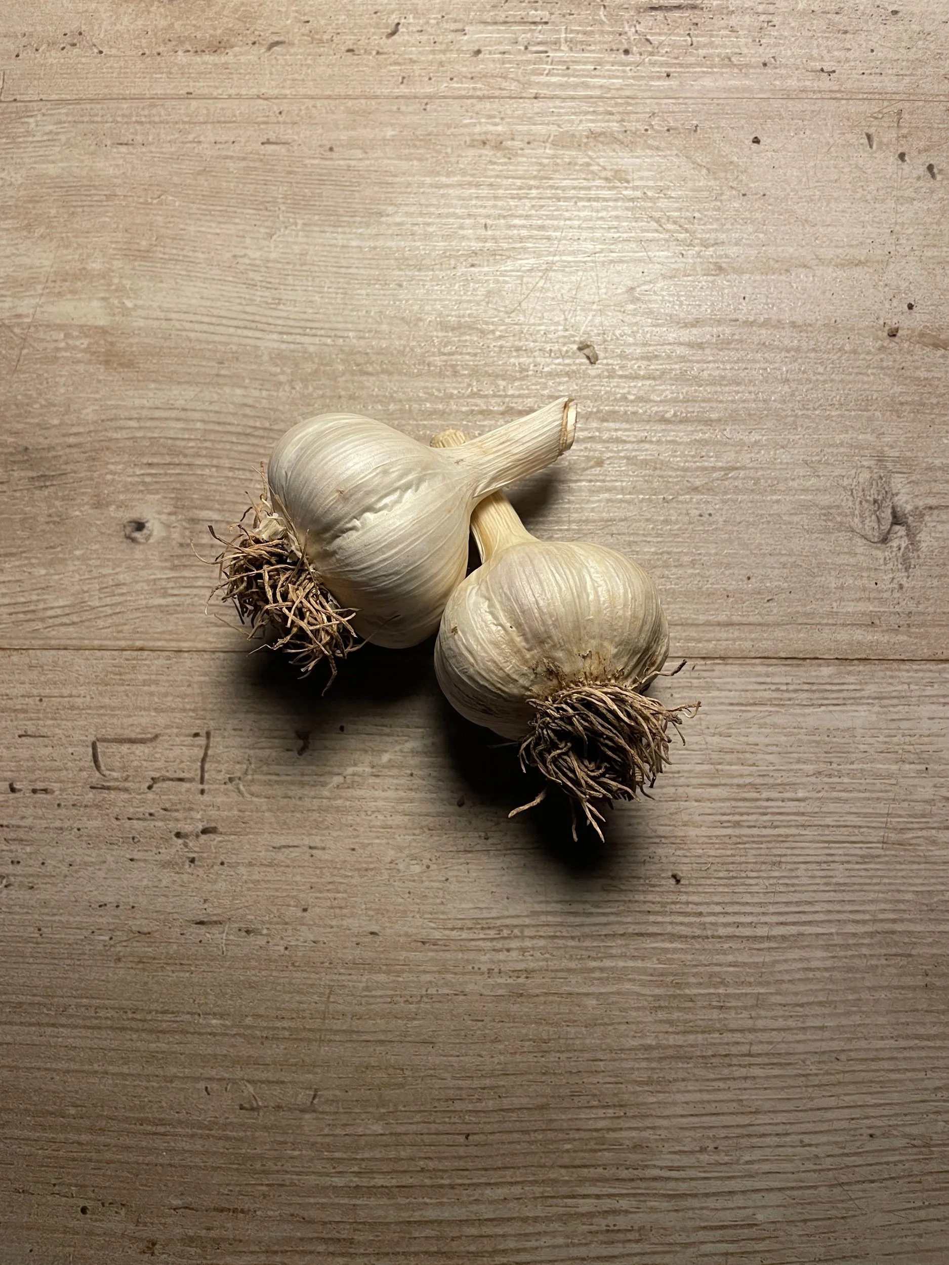D04163C9-0DA6-416E-AEBF-B49CA0EFBDD3.jpeg