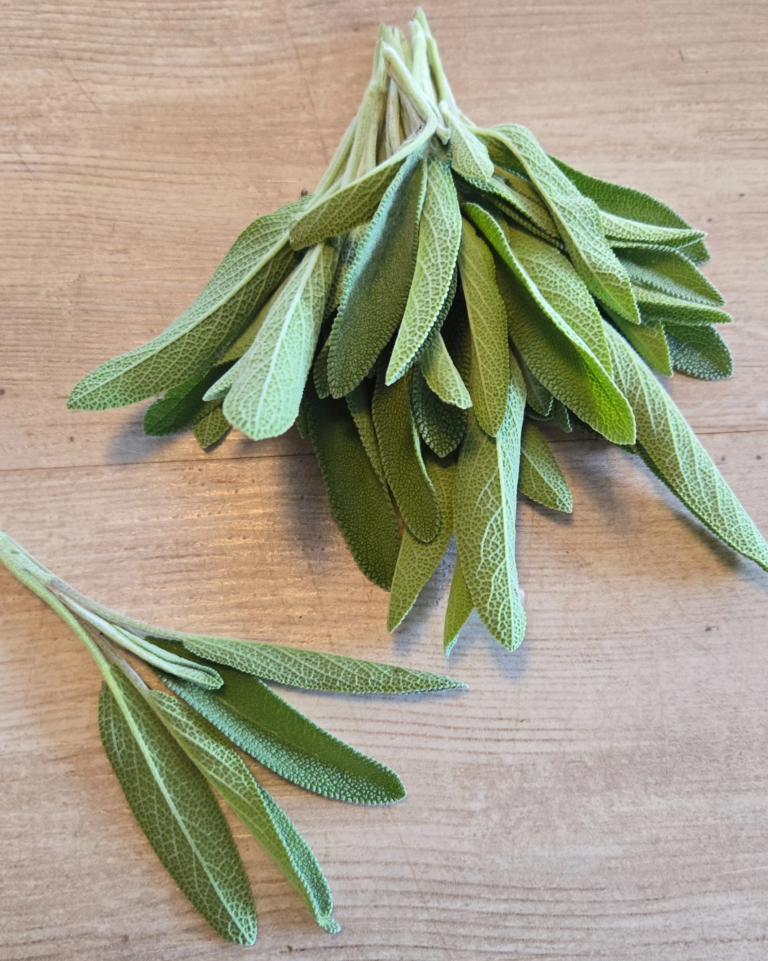Sage