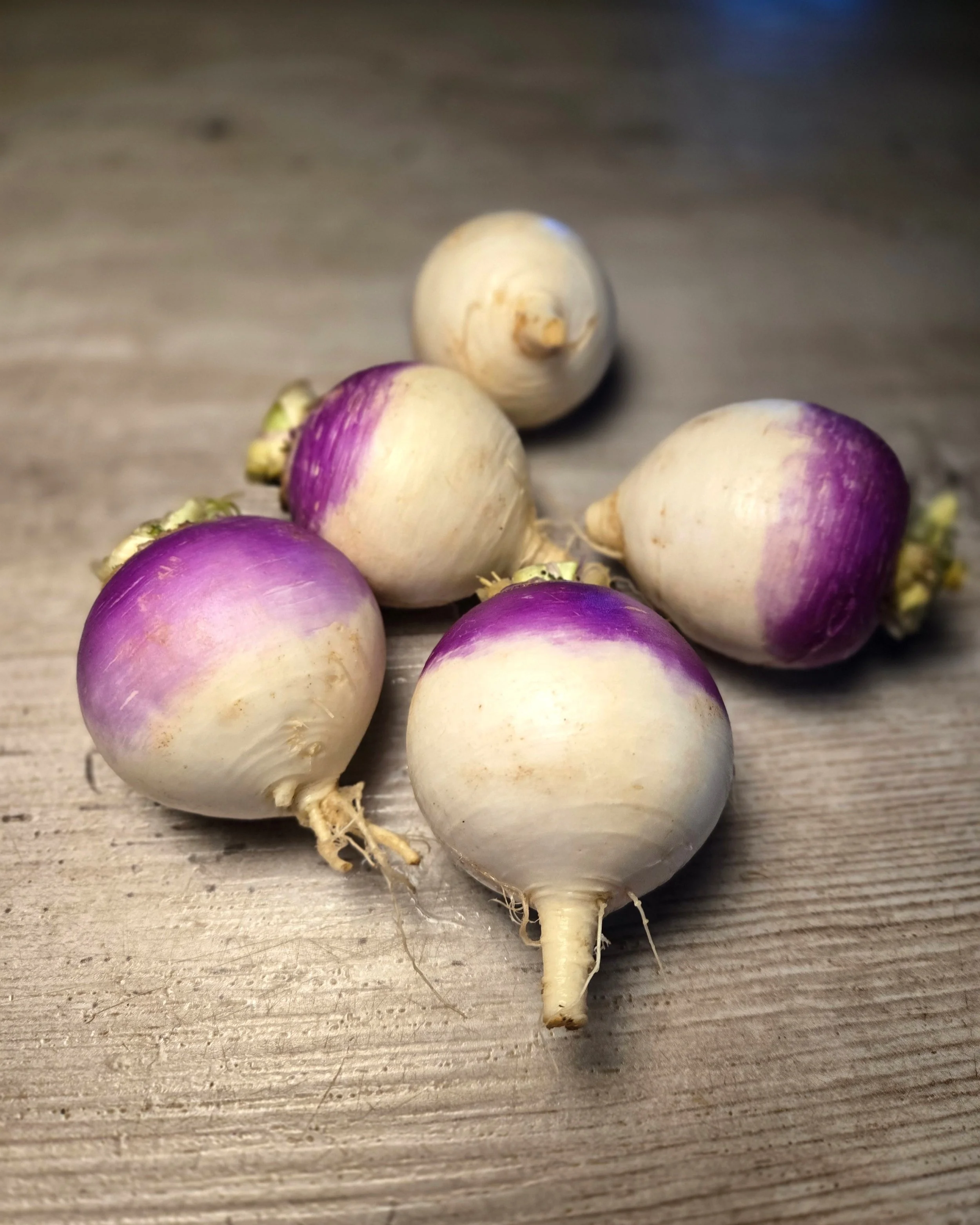 Purple Top Turnips