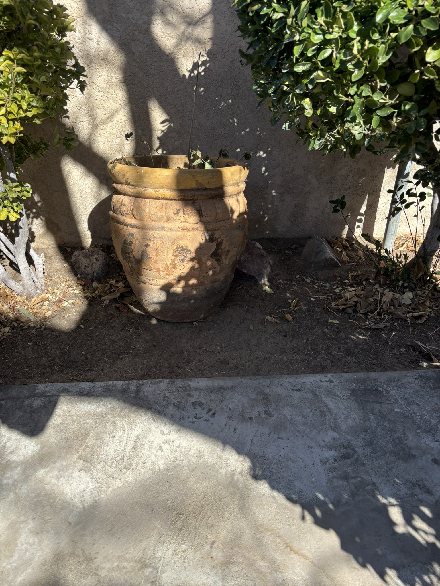 IMG_1218.JPEG