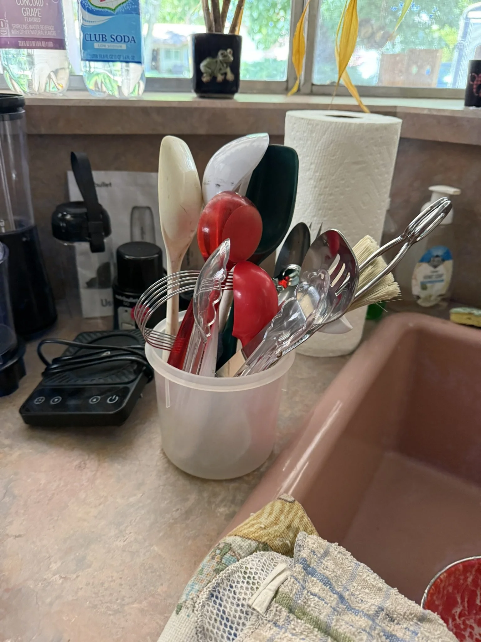 IMG_0152.JPEG