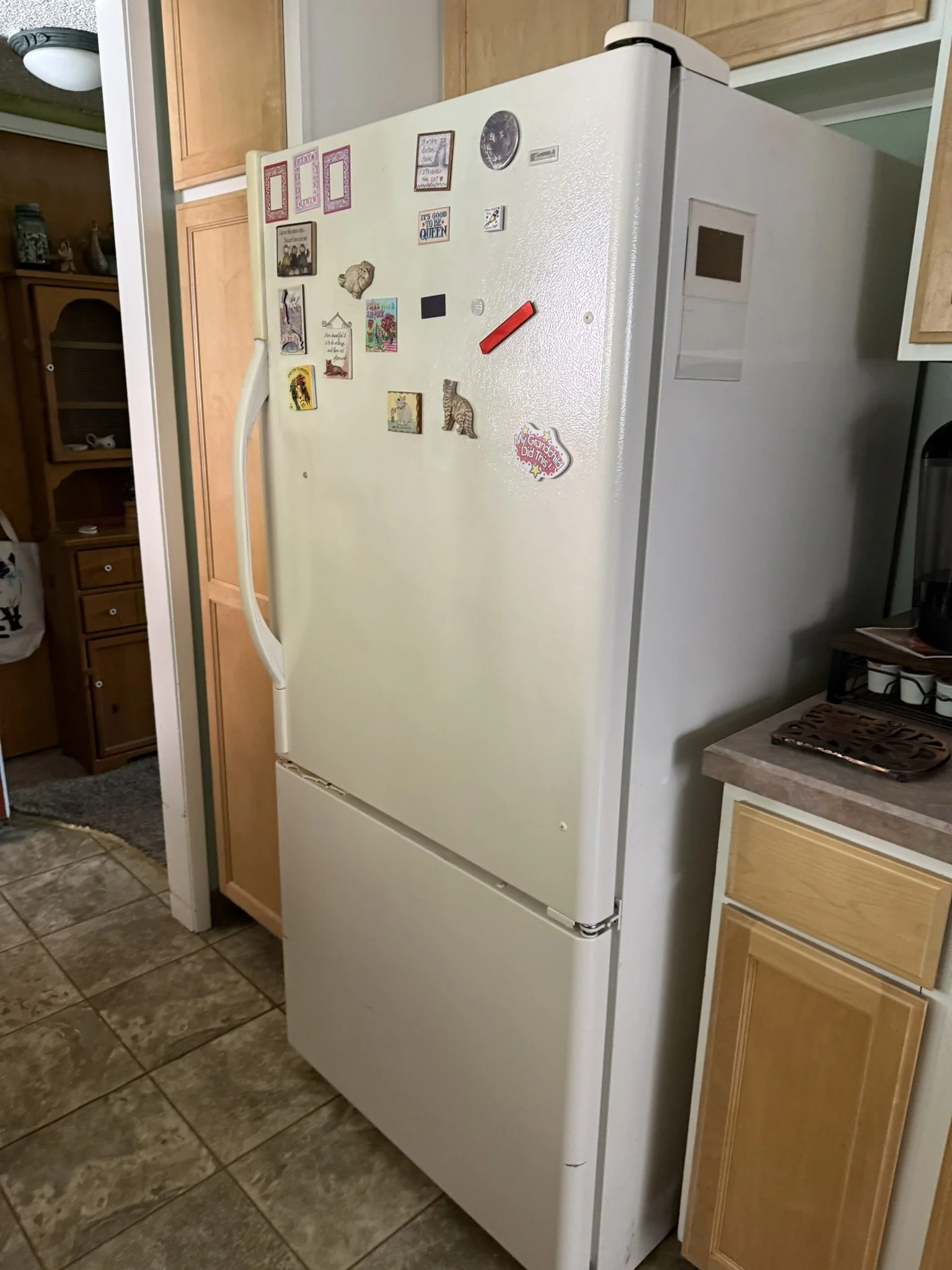 IMG_0154.JPEG