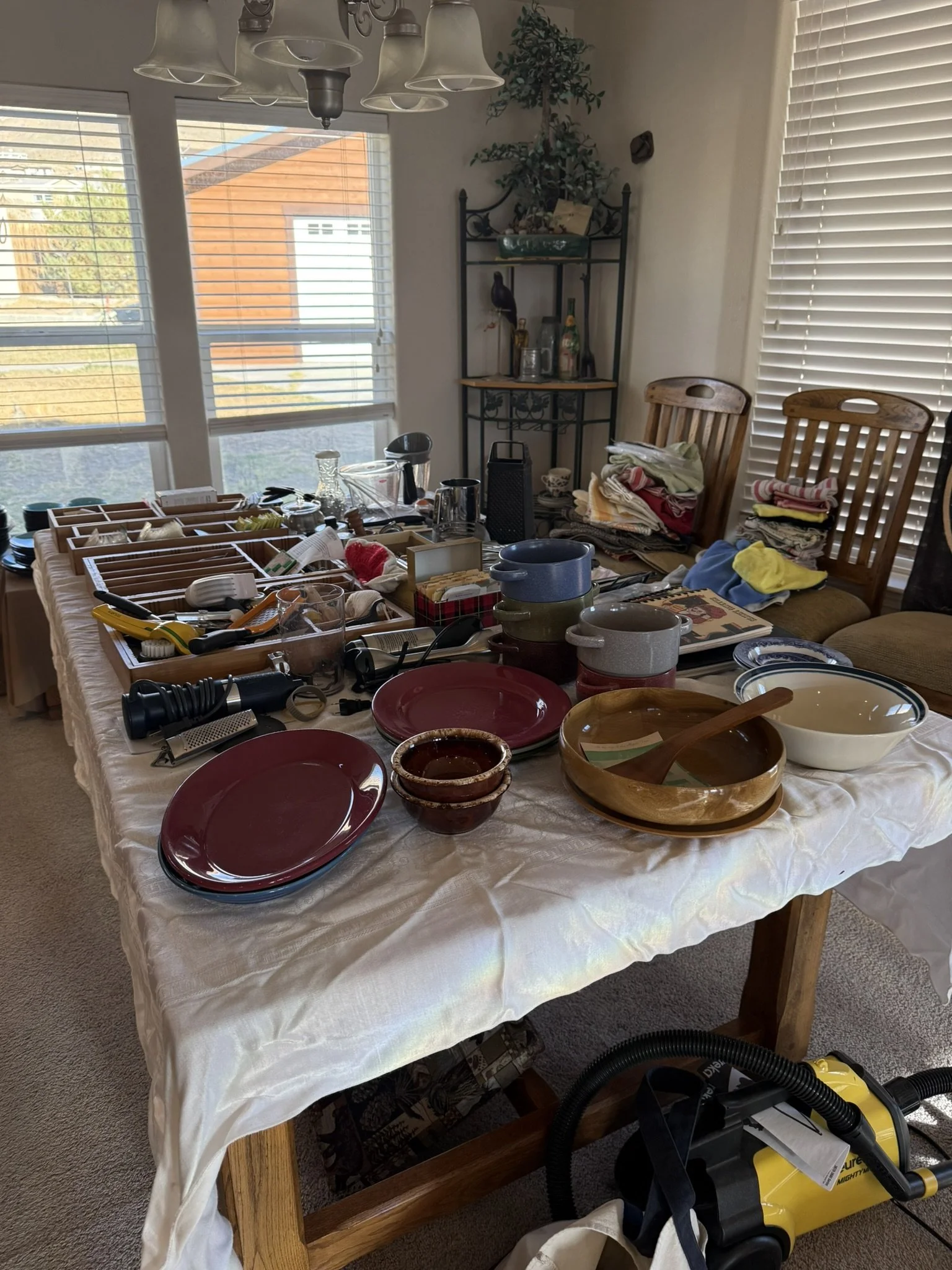 IMG_4776.JPEG