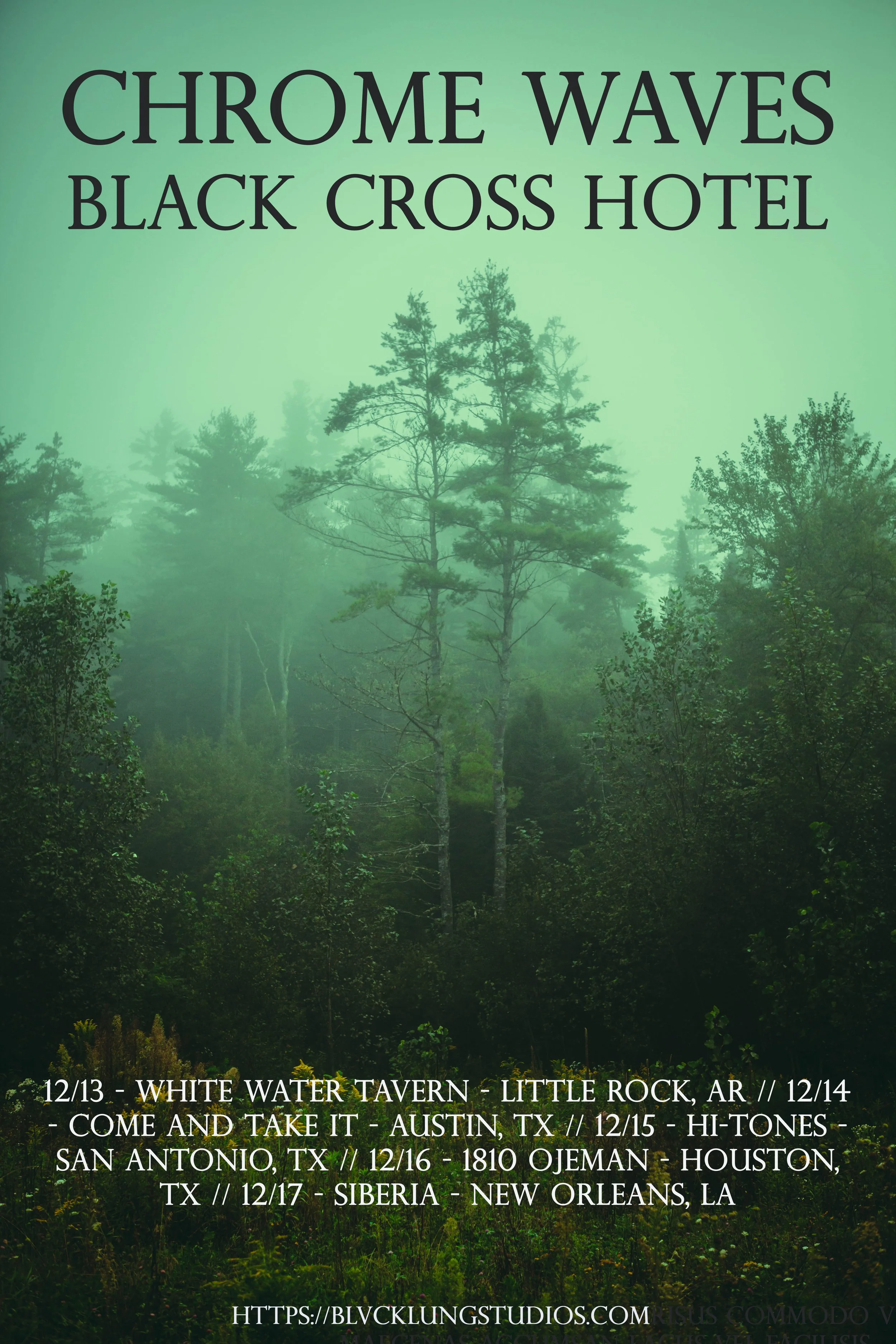 ChromeWaves-BlackCrossHotel-TREES southwest tour.jpg