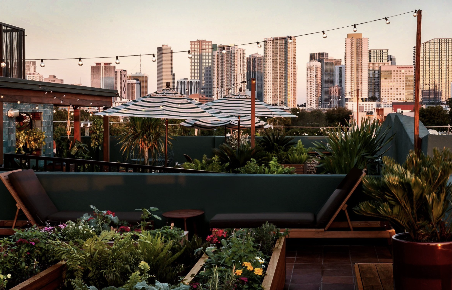 Screen Shot 2022-06-01 at 11.09.06 PM.png