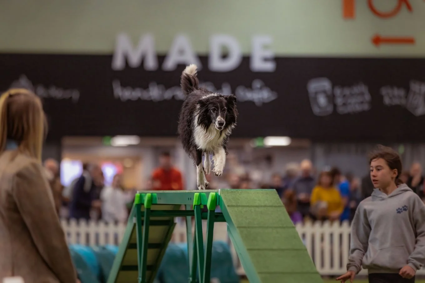 Crufts_05032026_YKCAgility1.jpg