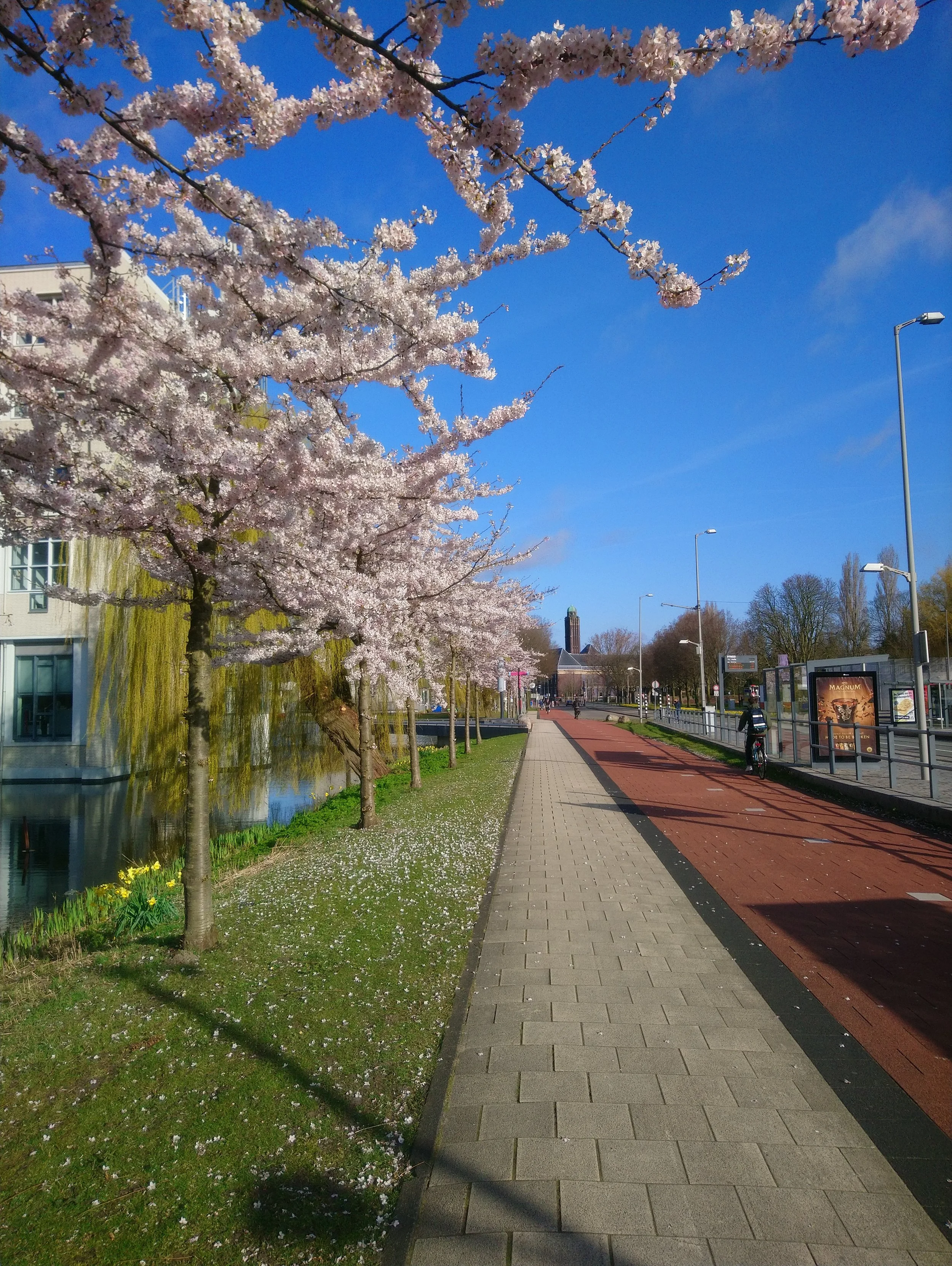 DSC_1033.JPG