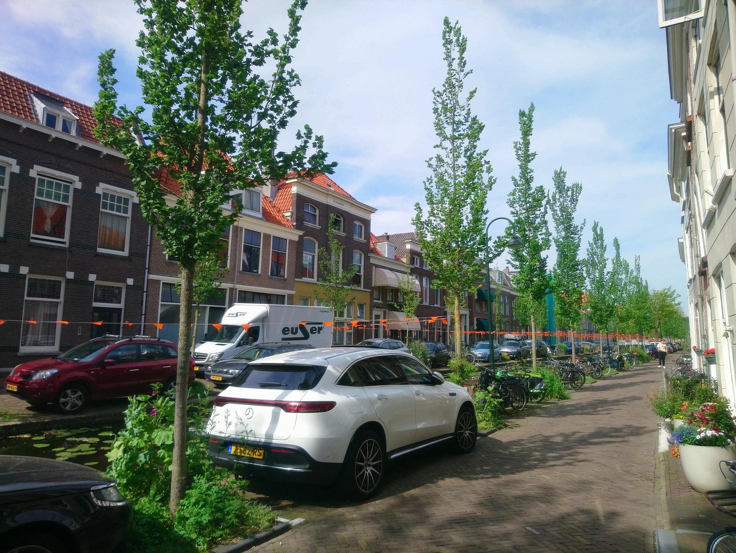 DSC_1083.JPG
