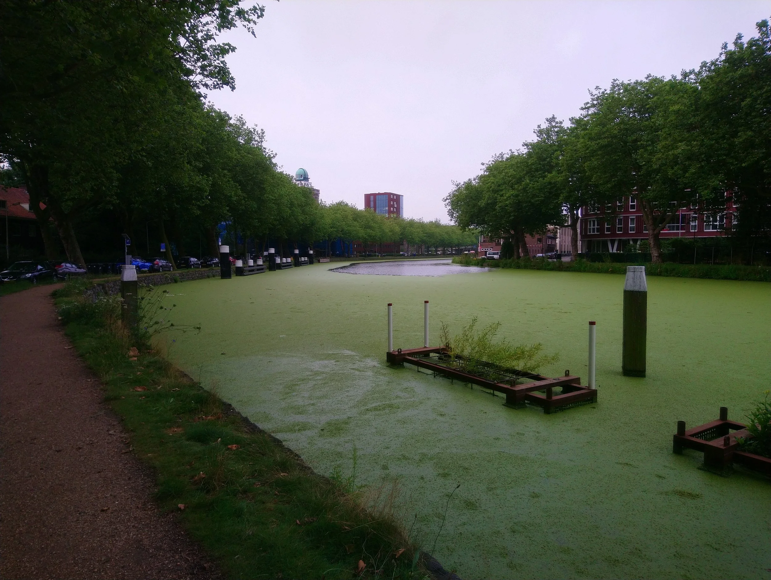 DSC_1120.JPG