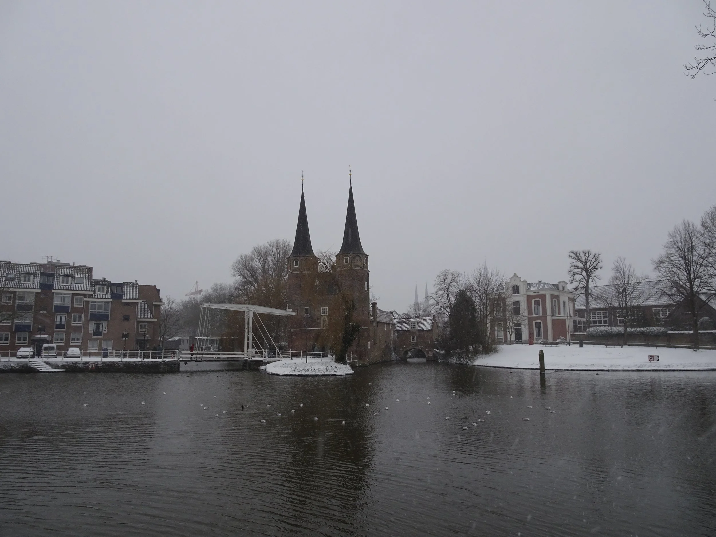 DSC00260.JPG