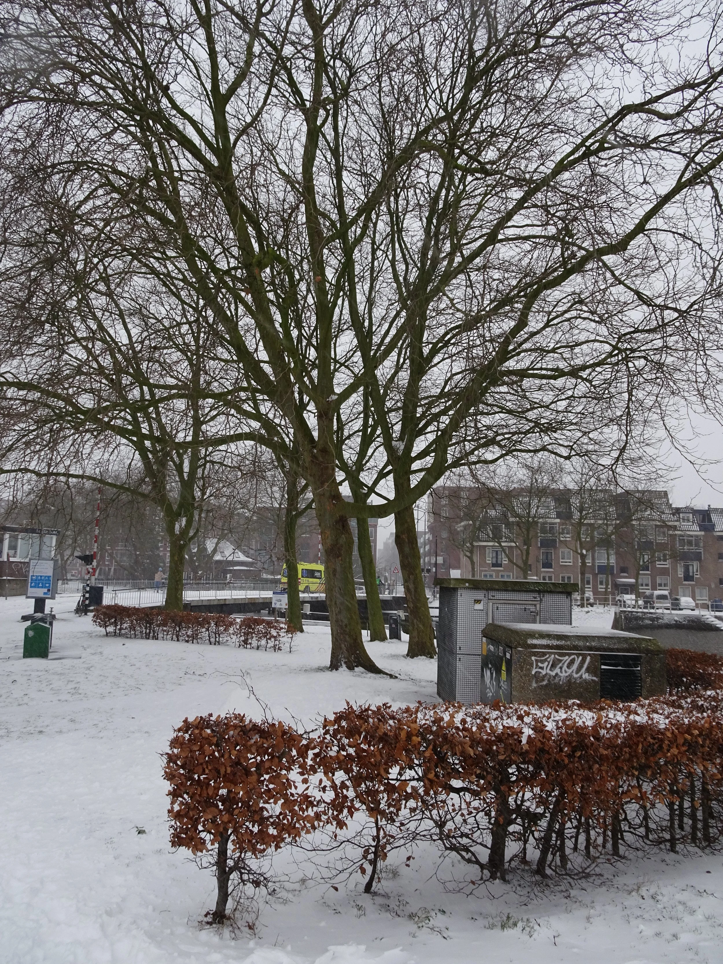 DSC00266.JPG