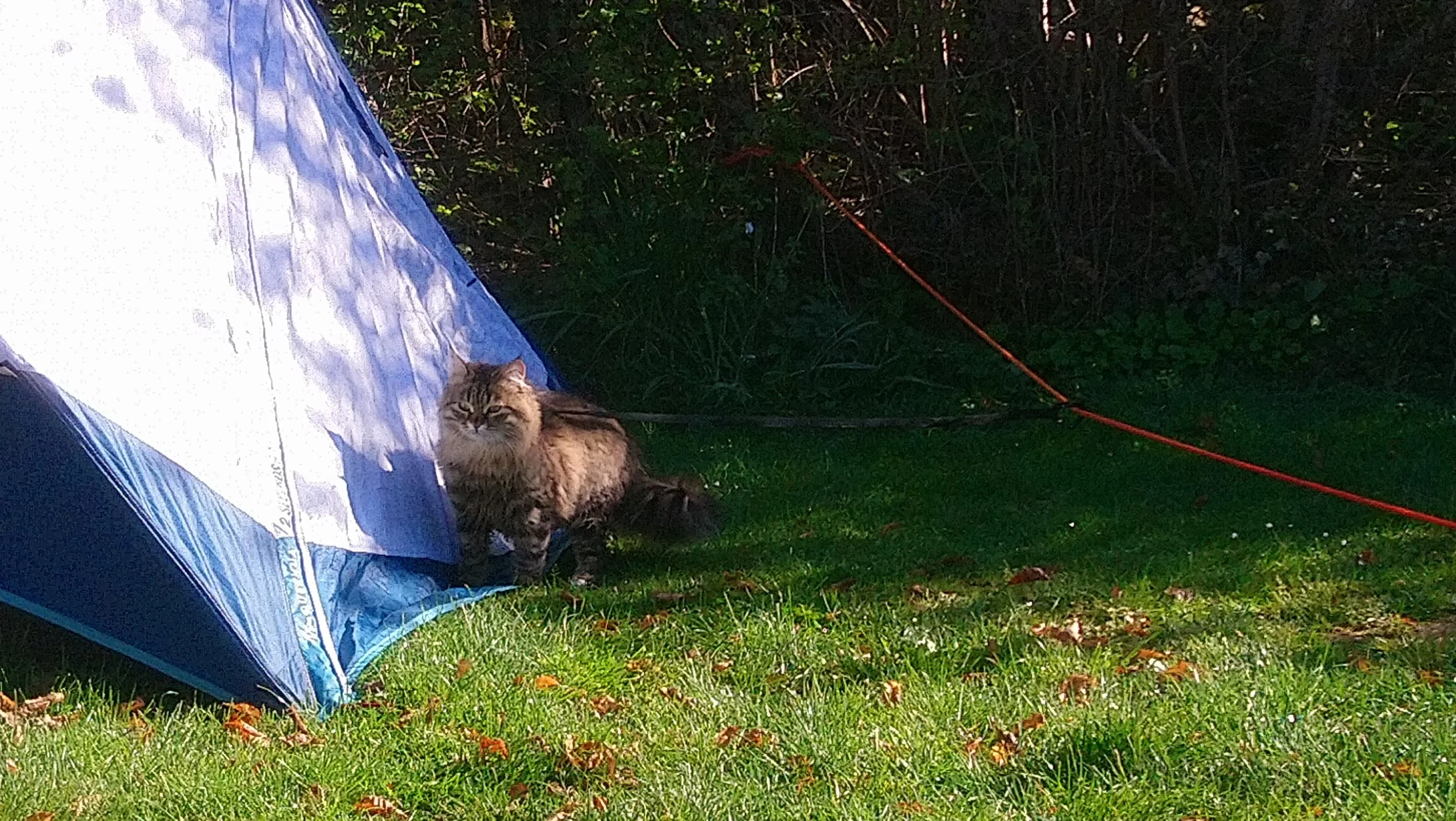 DSC_0067.JPG