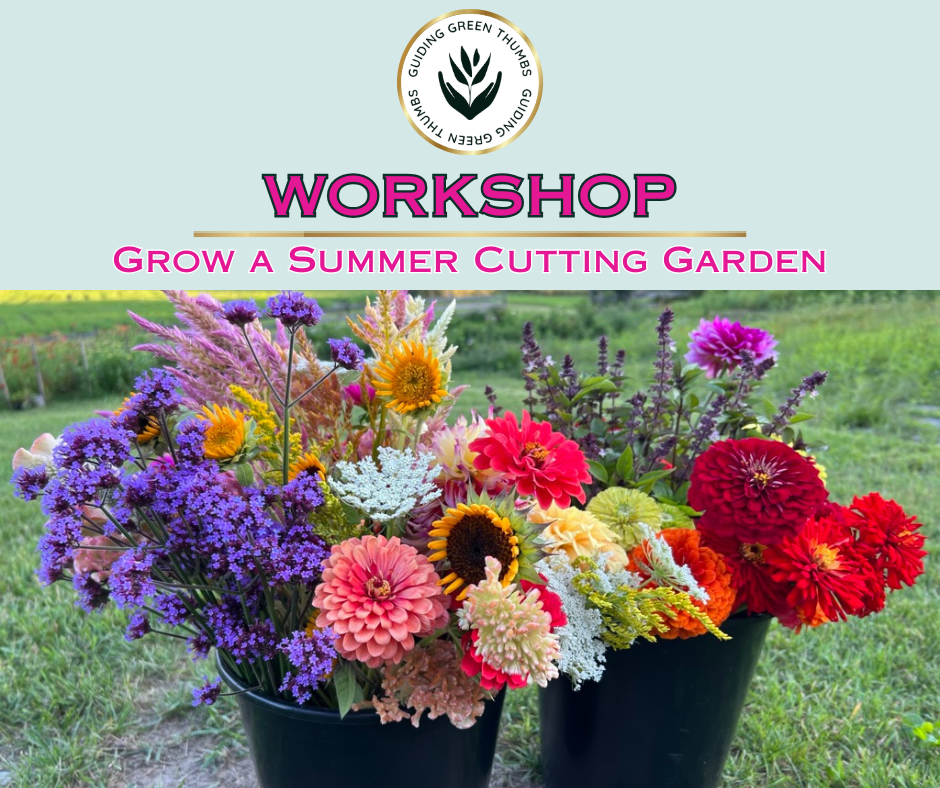 Grow A Summer Cutting Garden Workshop