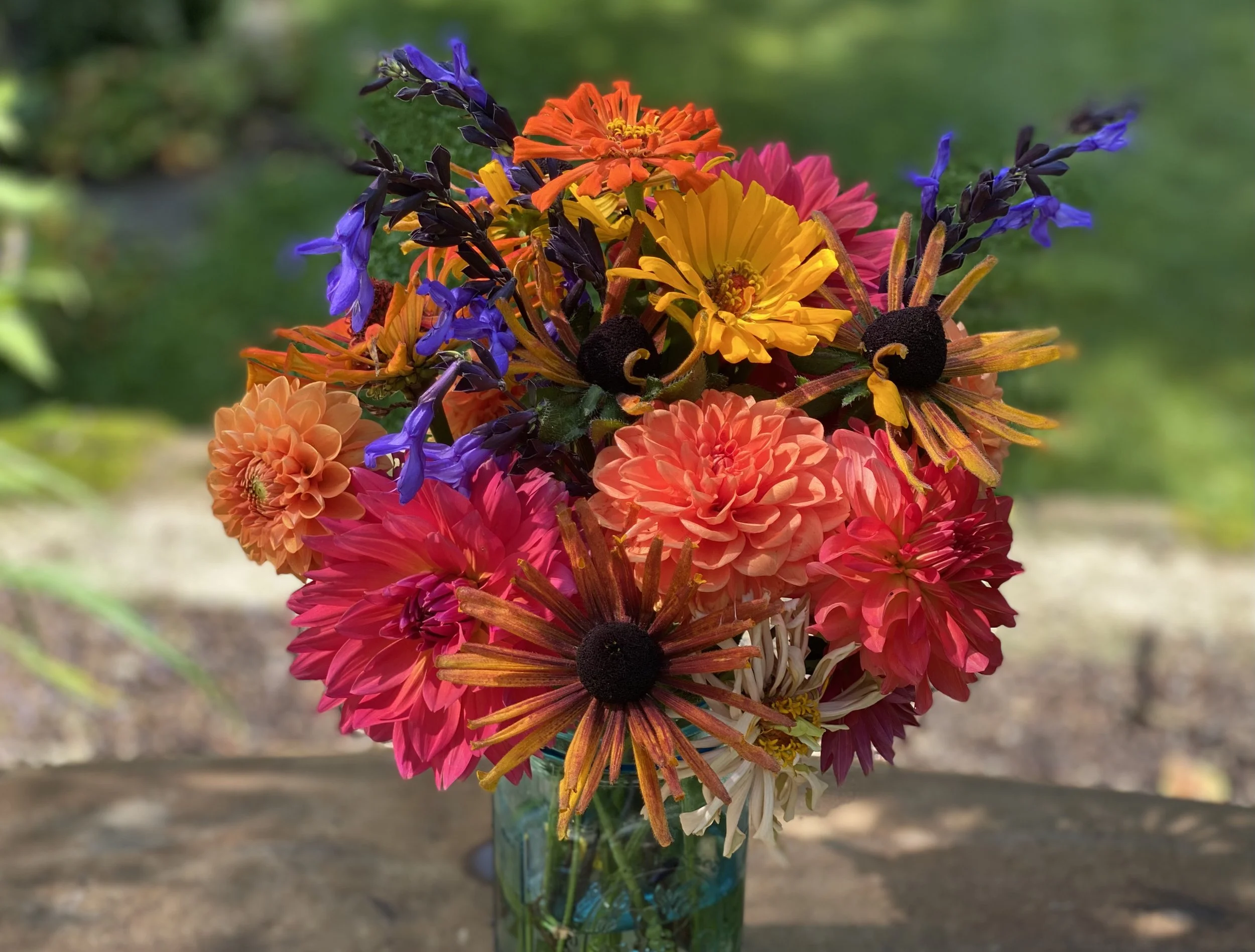 My first flower bouquet cut from my gardens. Zinnias, dahlias, echinacea, salvia.