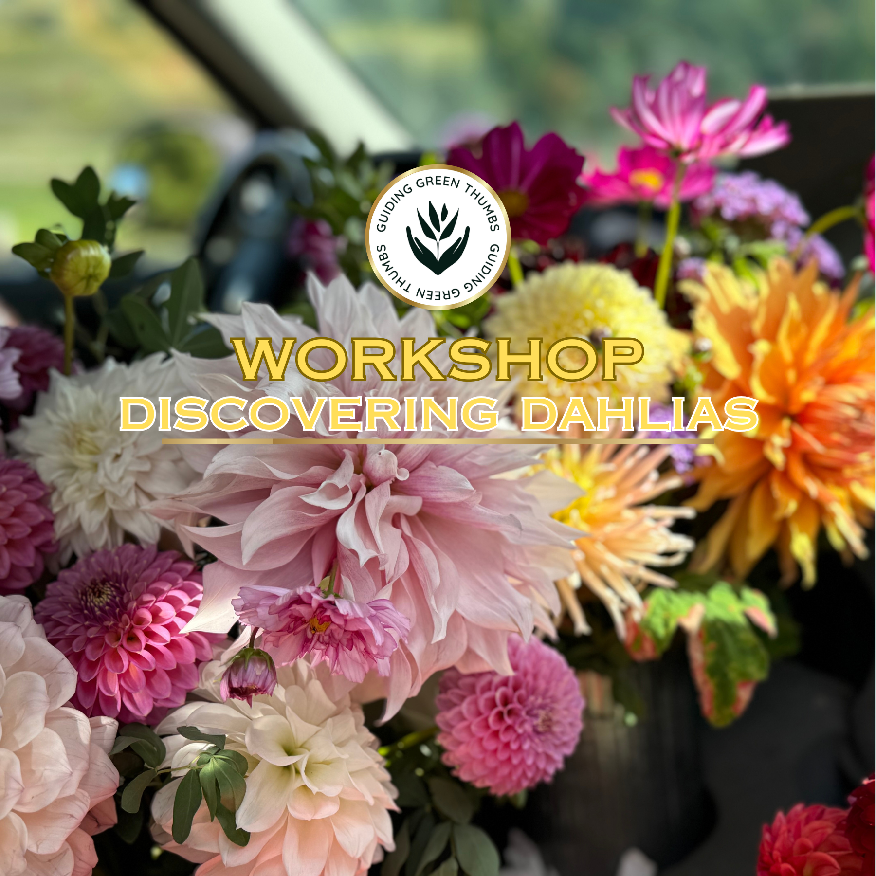 Discovering Dahlias- On-Farm Workshop | April 18