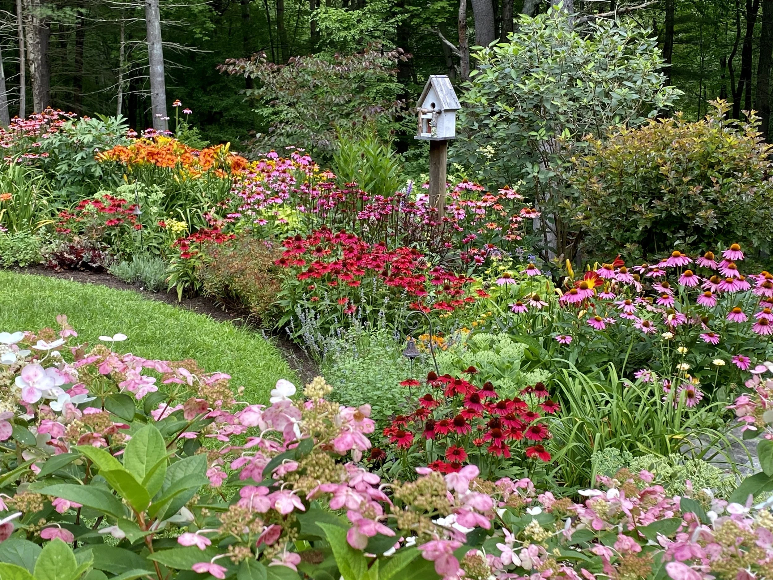 Perennial sun garden with brightly colored echinacea and a white birdhouse.