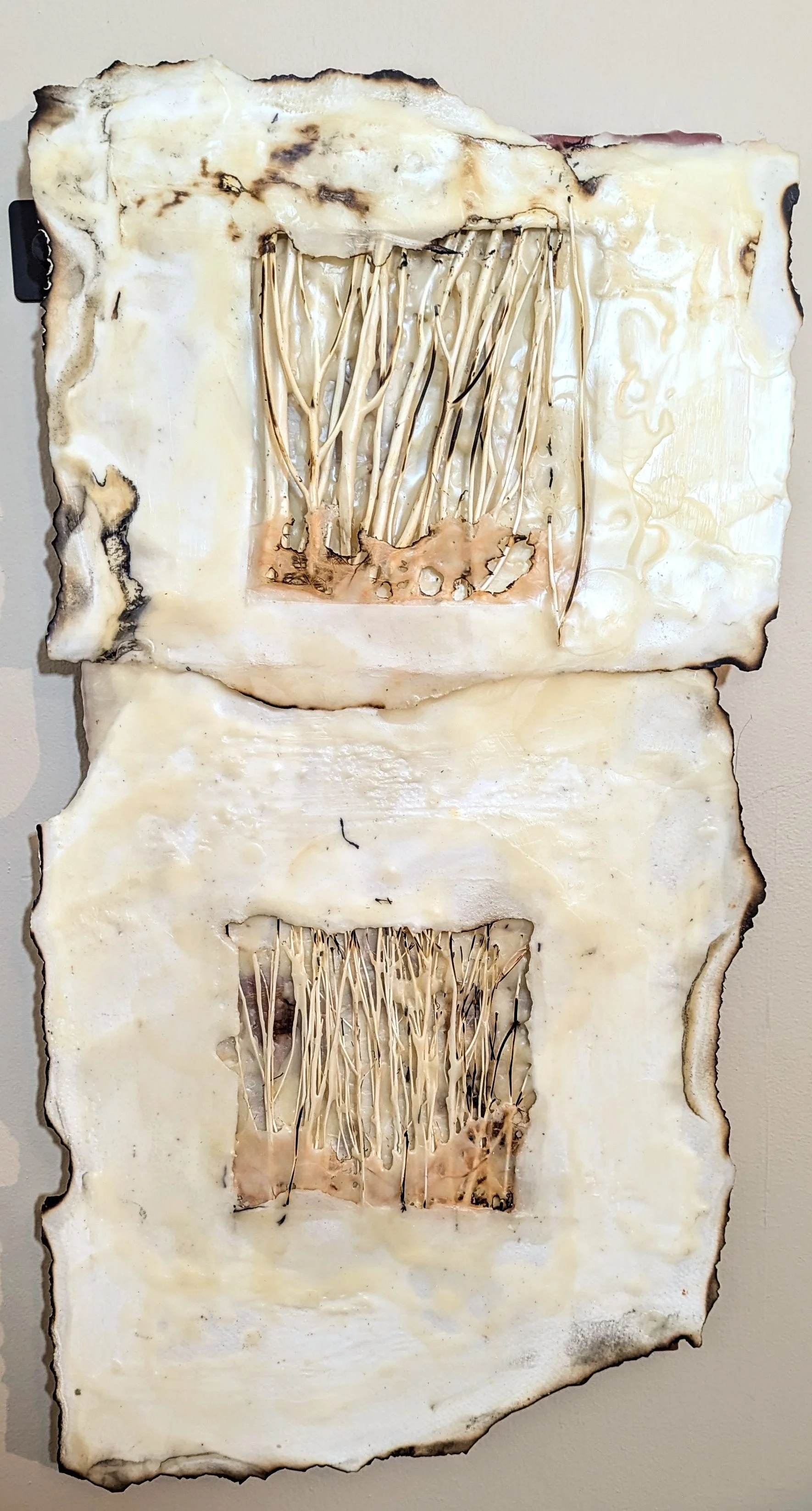 Dagmar Nickerson, encaustic wax, paper, pastel pigments