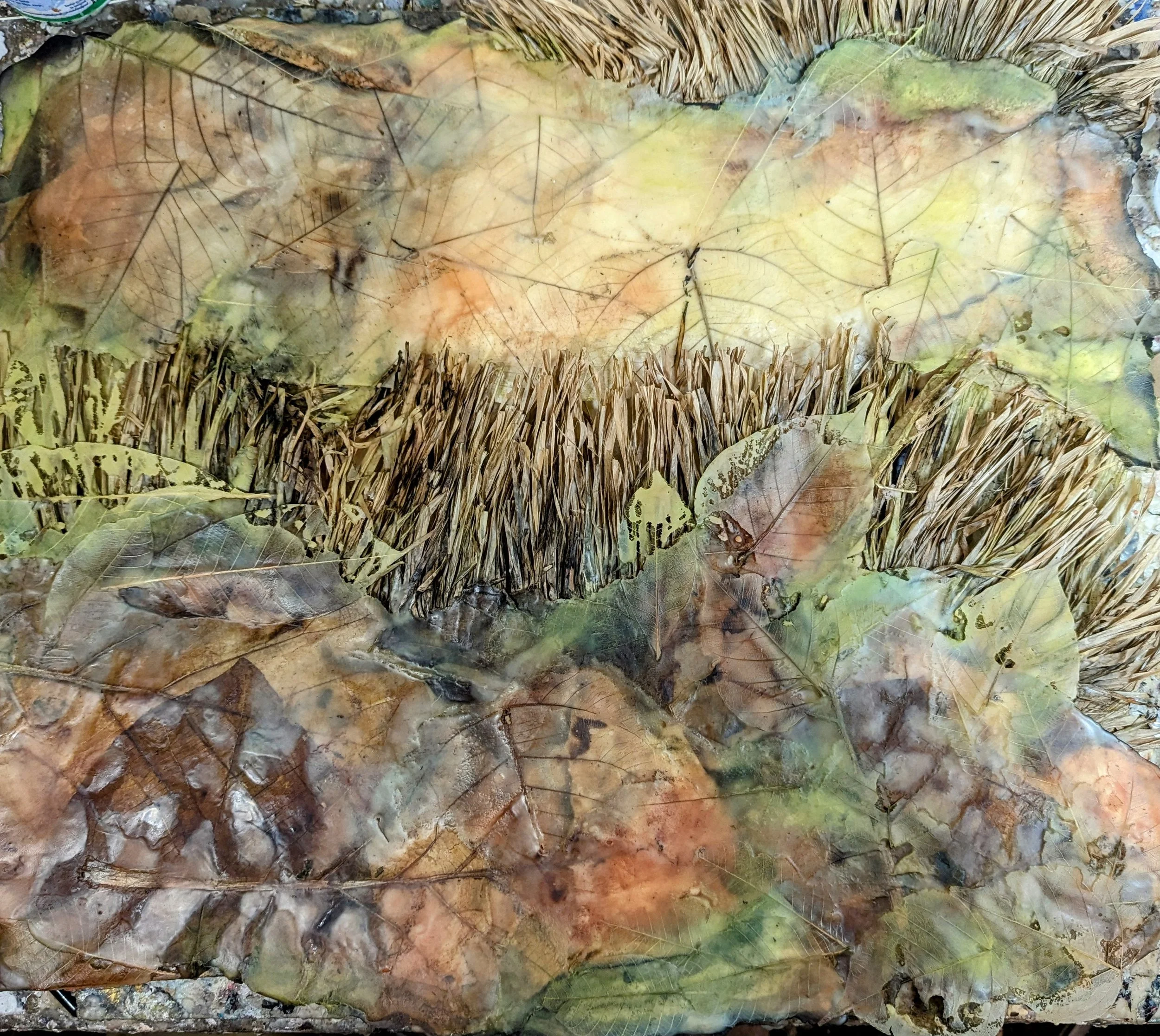 Dagmar Nickerson encaustic wax, paper, pastel pigments