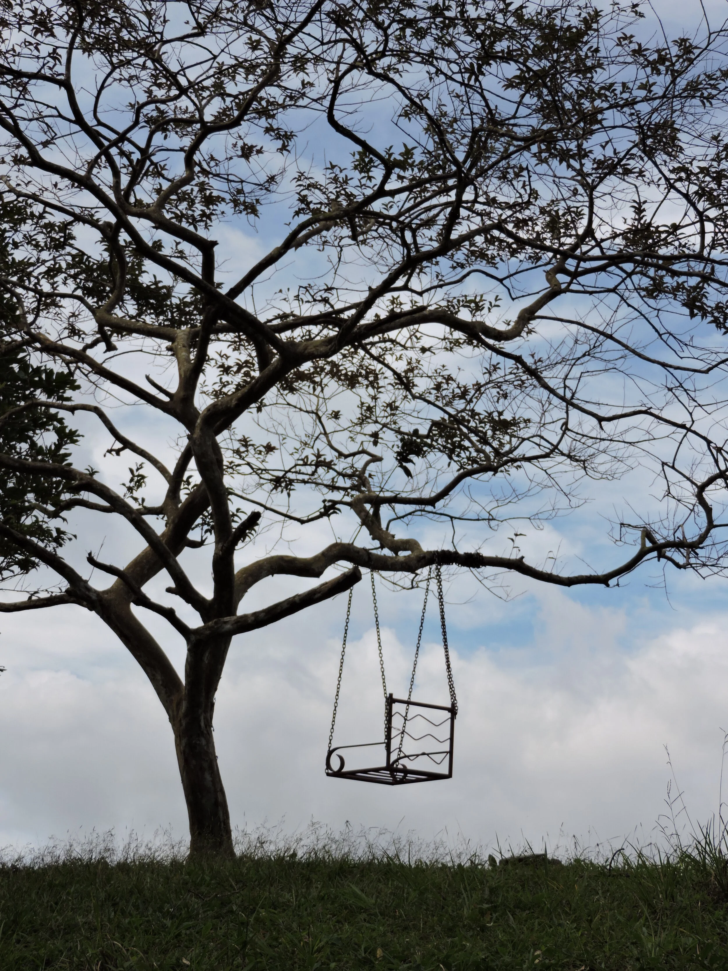 The After School Special is a private 60 minute vinyasa yoga class for NLCS employees only. This class is conveniently scheduled after school on Mondays at 4pm. To sign up for this class send me an email at angie.wildmoonyoga@gmail.com