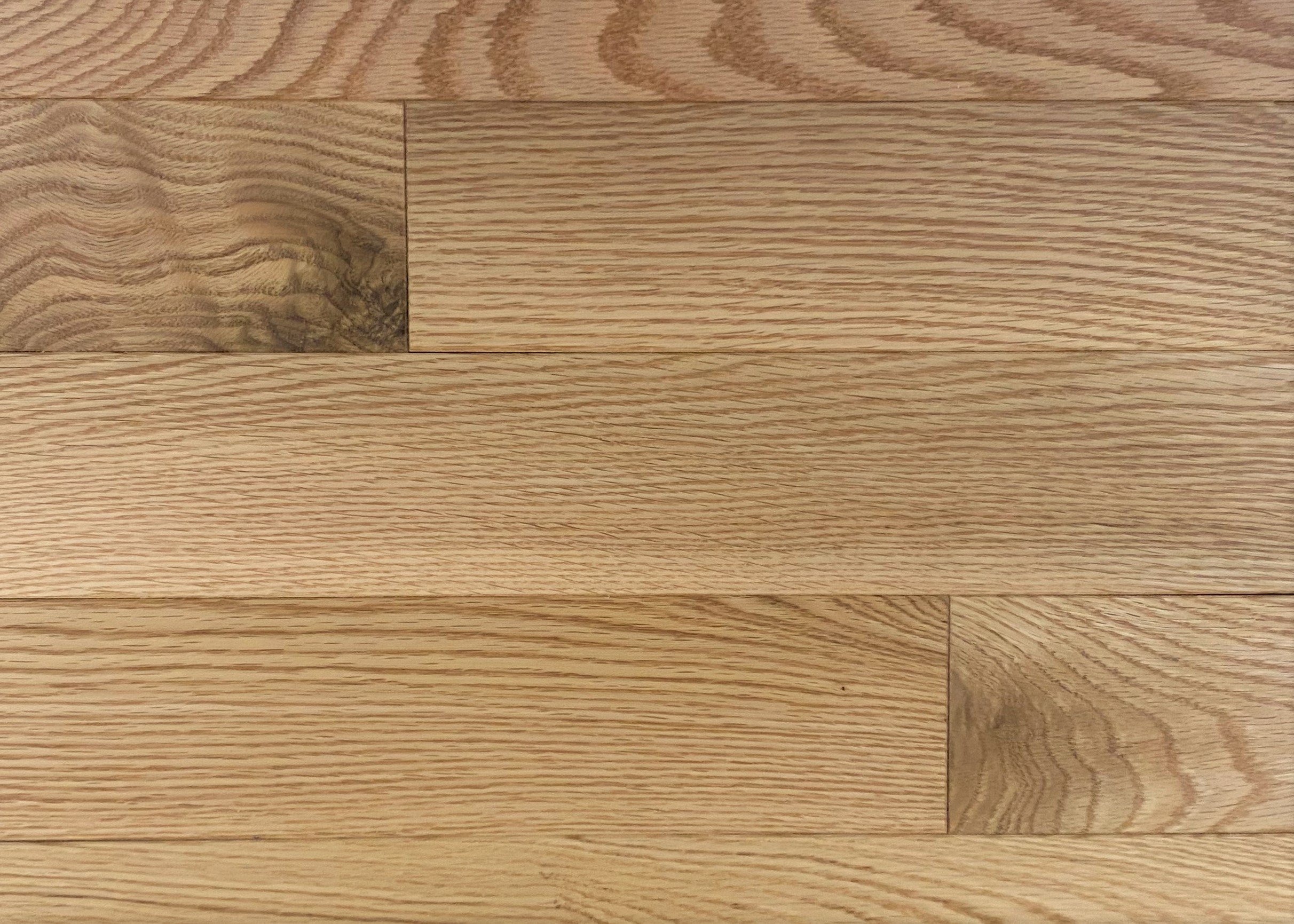 Red-Oak-Virtuoso-Verita.jpg