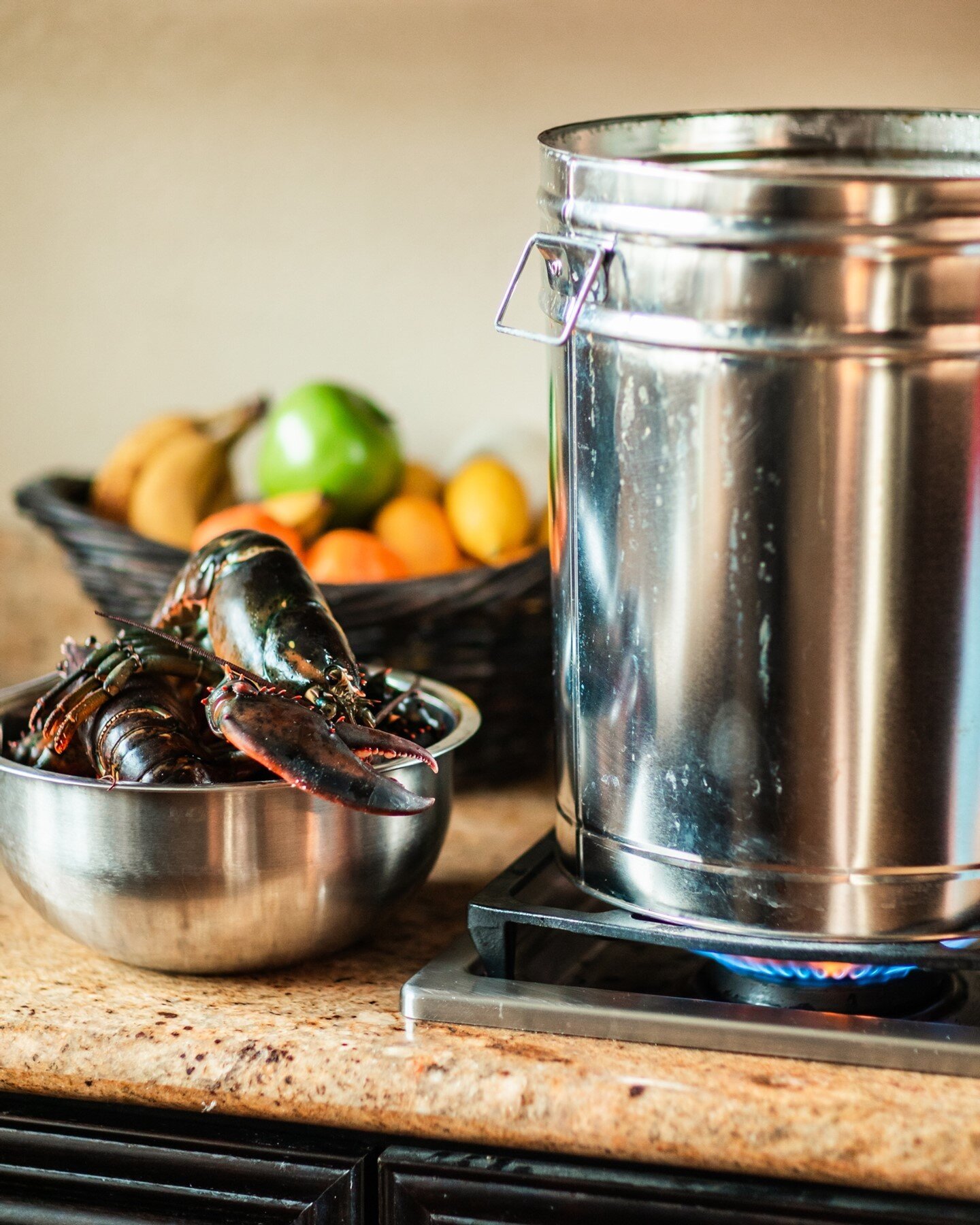 Our NEW live lobster steamers are such a fun and easy cooking experience--and they're only available during our June 18th &quot;First Crack&quot; in St. Helena!⁠
⁠
Schedule your pick up at @titus_vineyards on Friday, June 18th for your at-home lobste