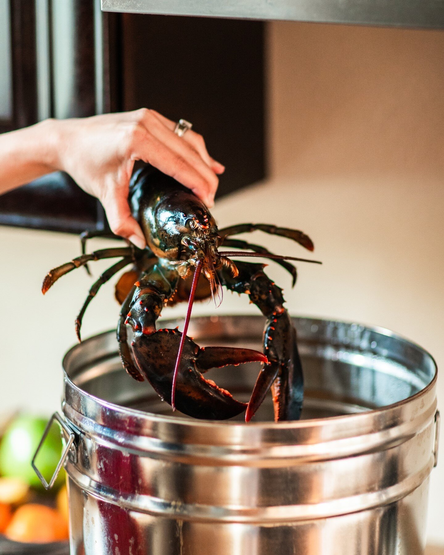 Ever dream of cooking a live lobster feast, but a bit intimidated by it?  Don't be!! Our NEW live lobster steamers are such a fun and easy cooking experience--and they're only available during our June 18th &quot;First Crack&quot; in St. Helena!⁠
⁠
S